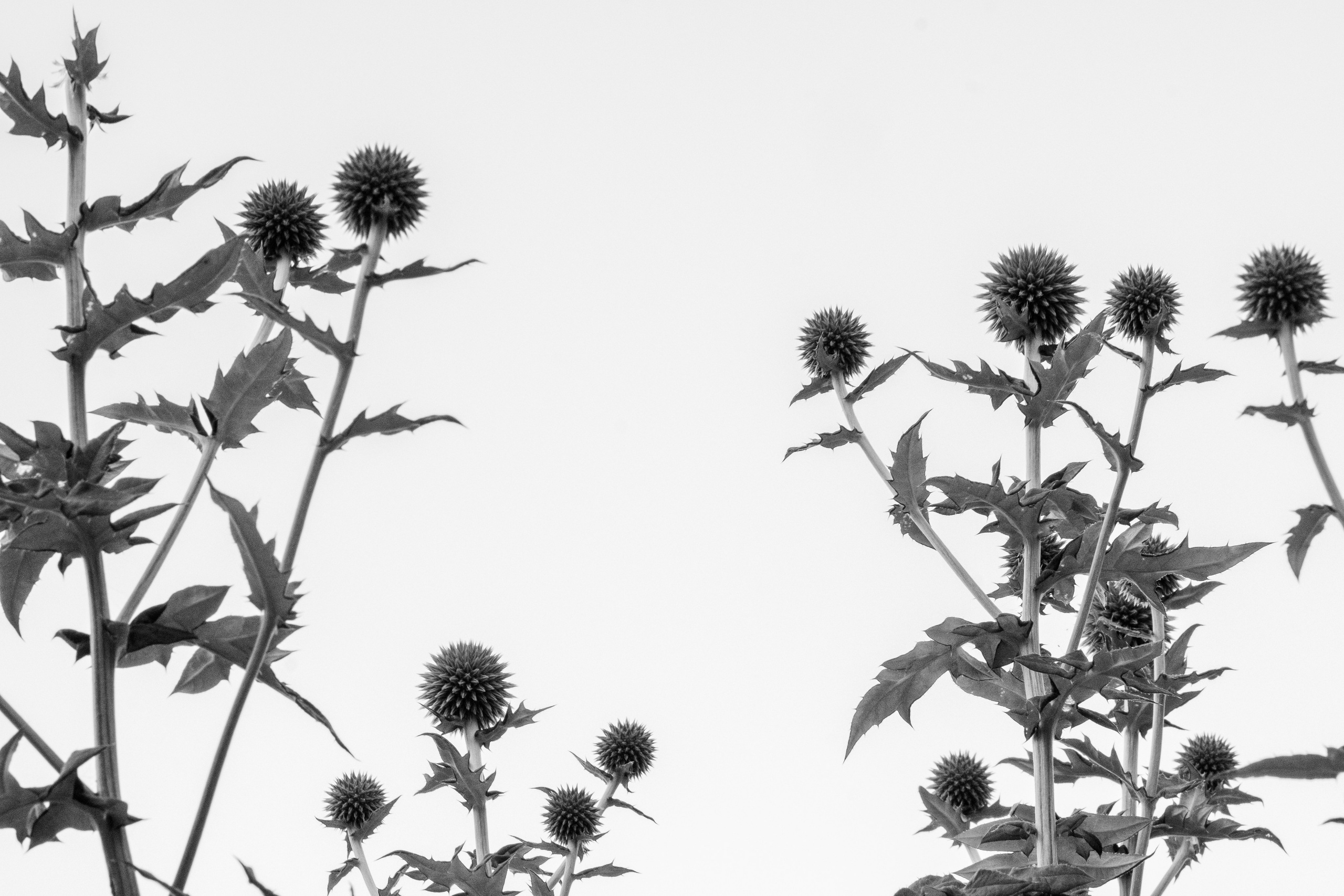 KRUTOVA_фотографирую жизнь