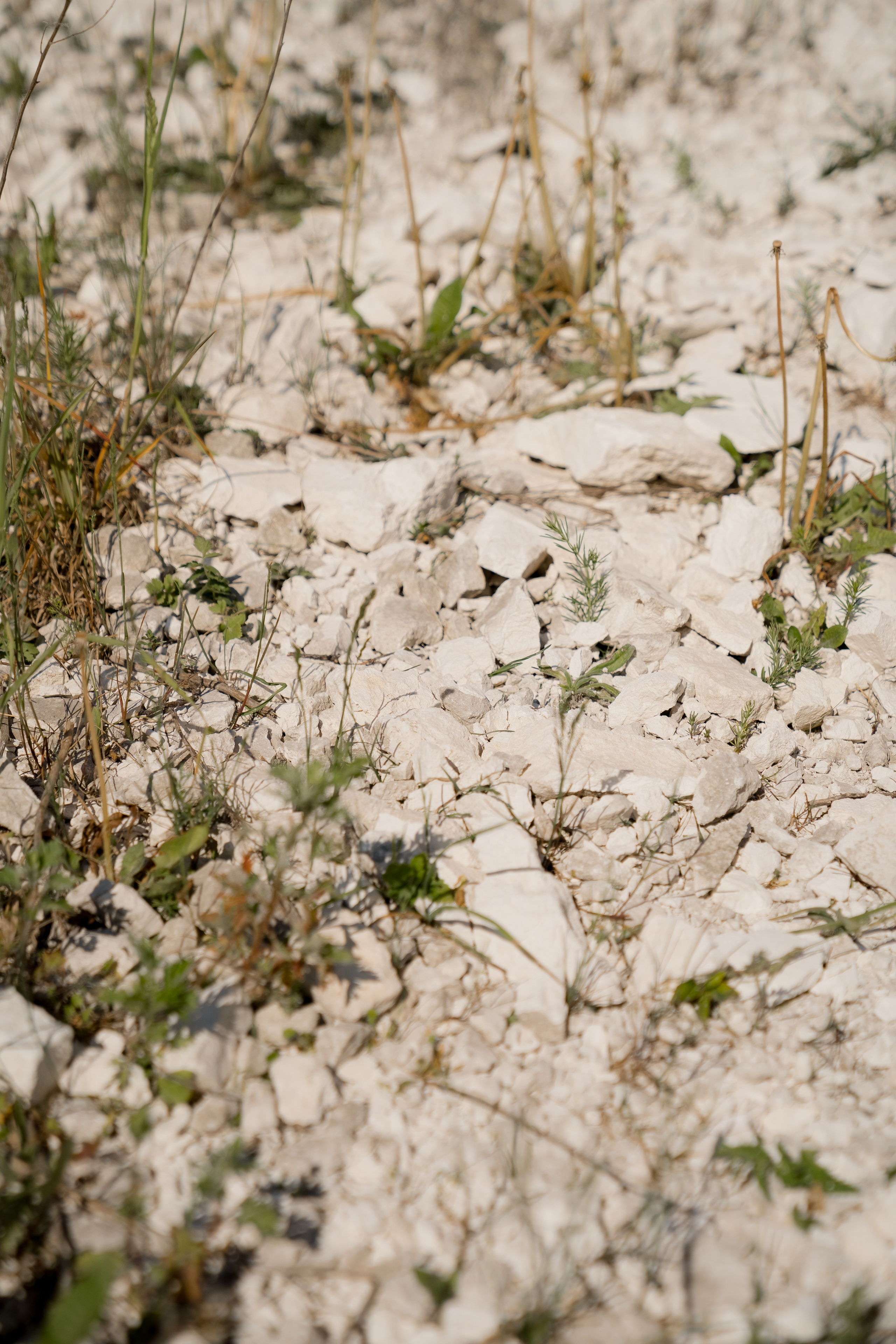 Егор и Лиза. Свадебный фотограф Воронеж Марина Грудинина