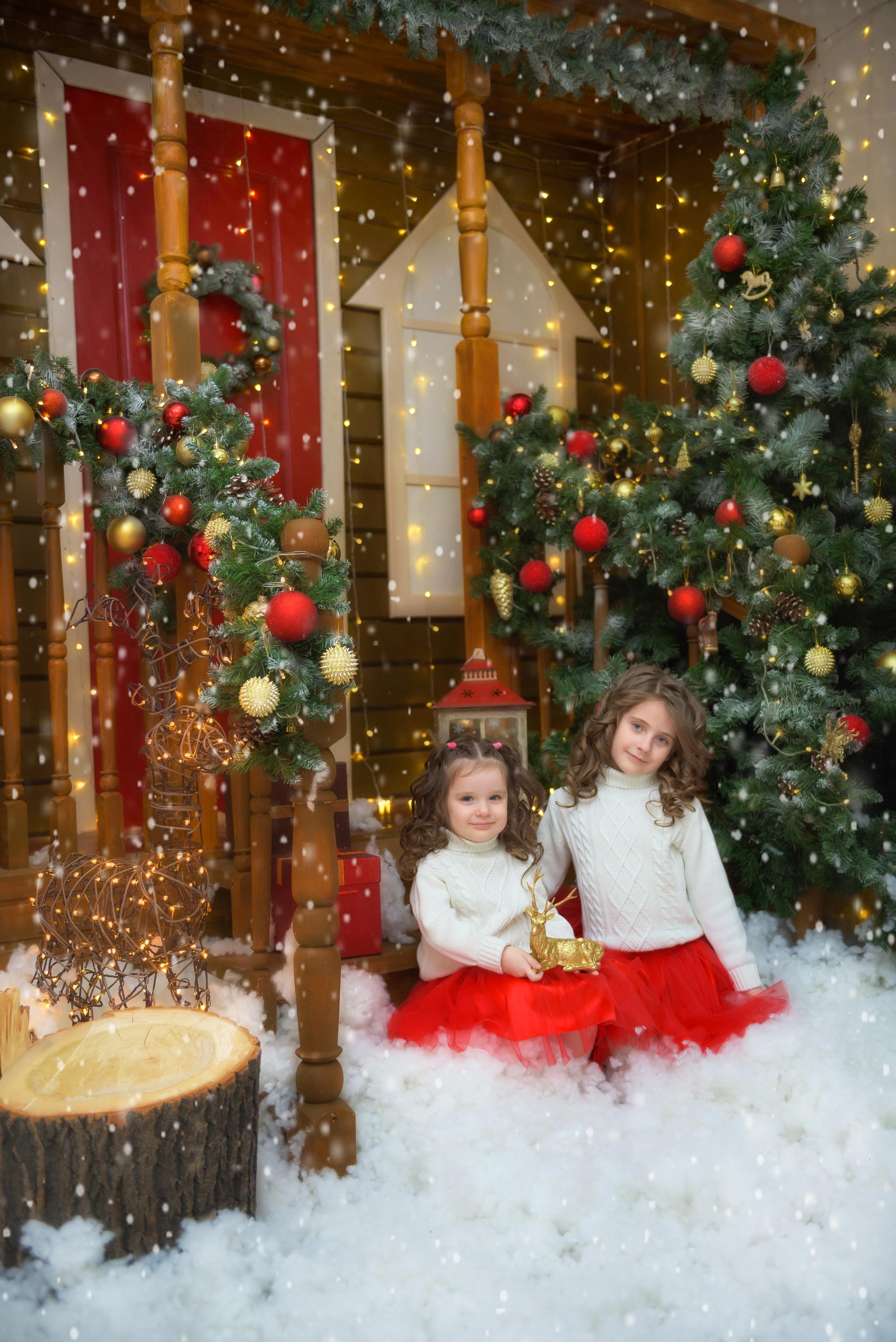 Новогоднее настроение. Фотограф Елена Ситникова