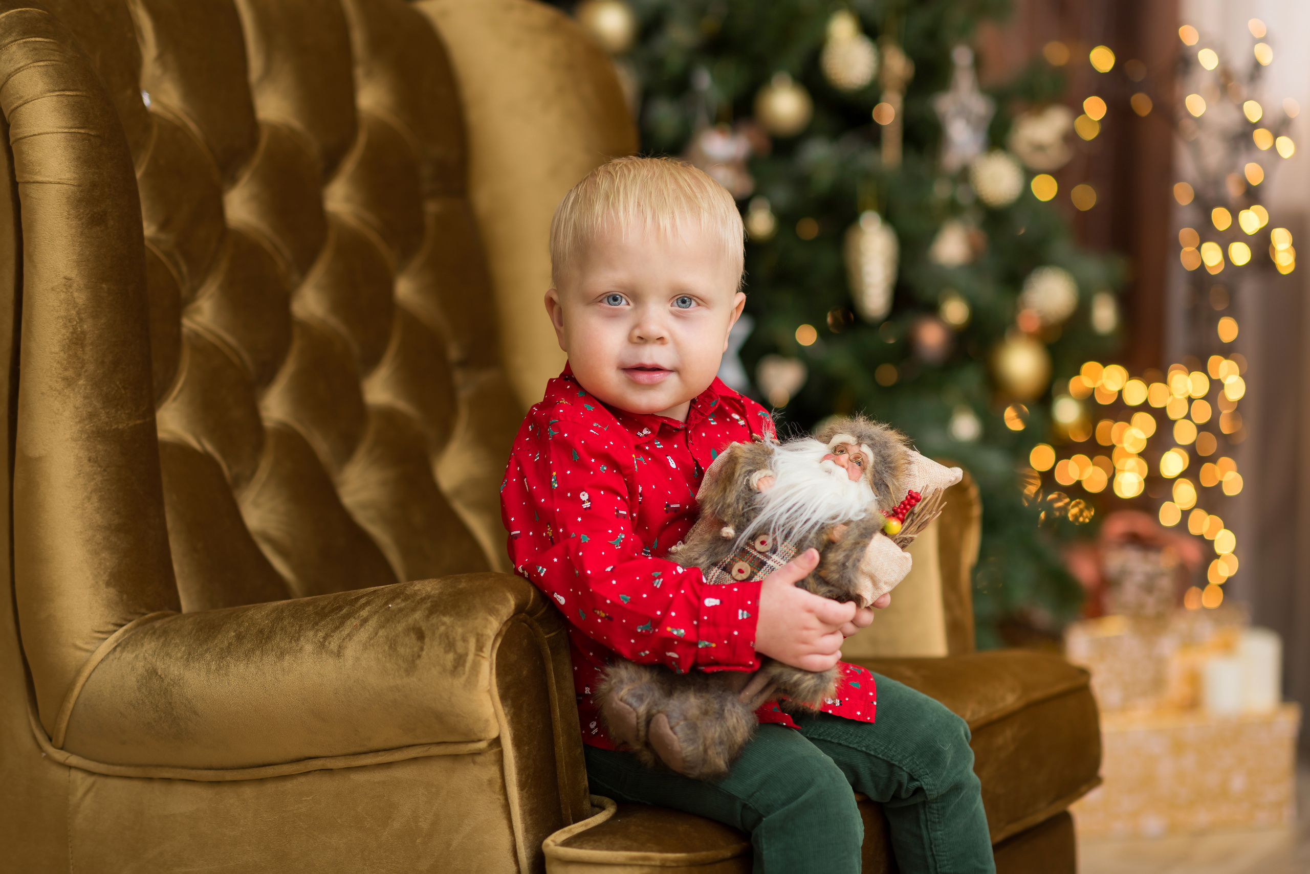 Новогоднее настроение. Фотограф Елена Ситникова