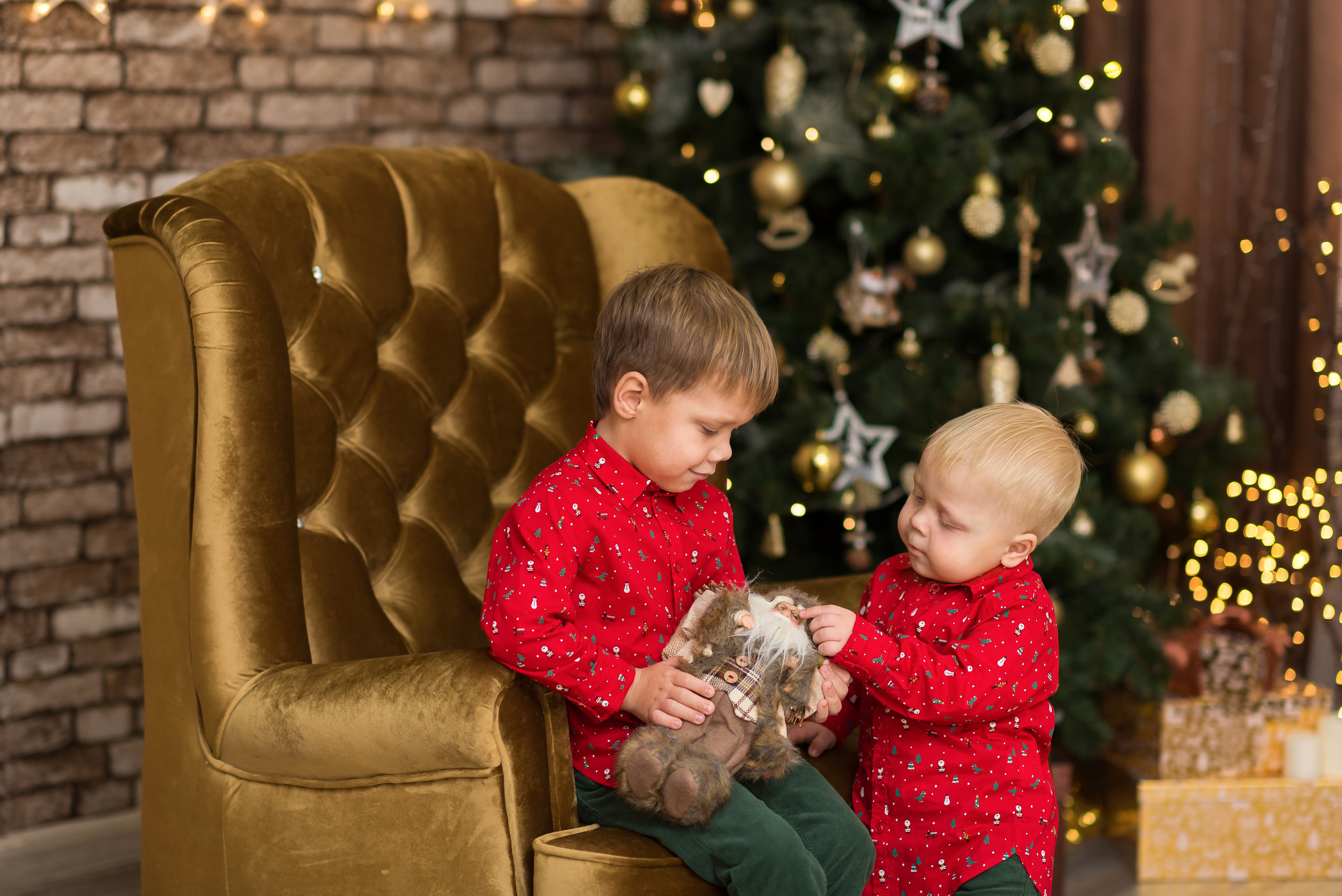 Новогоднее настроение. Фотограф Елена Ситникова