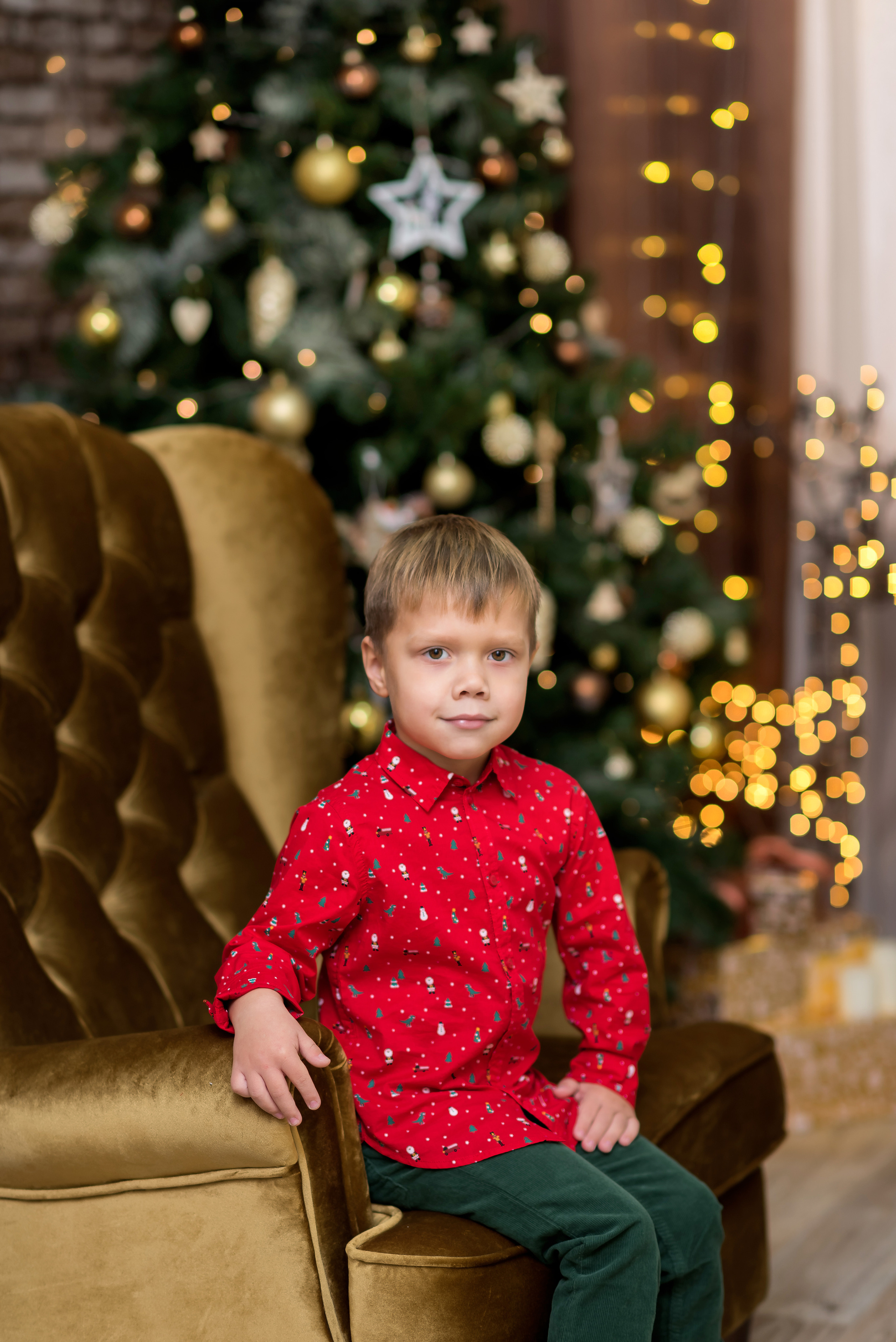 Новогоднее настроение. Фотограф Елена Ситникова