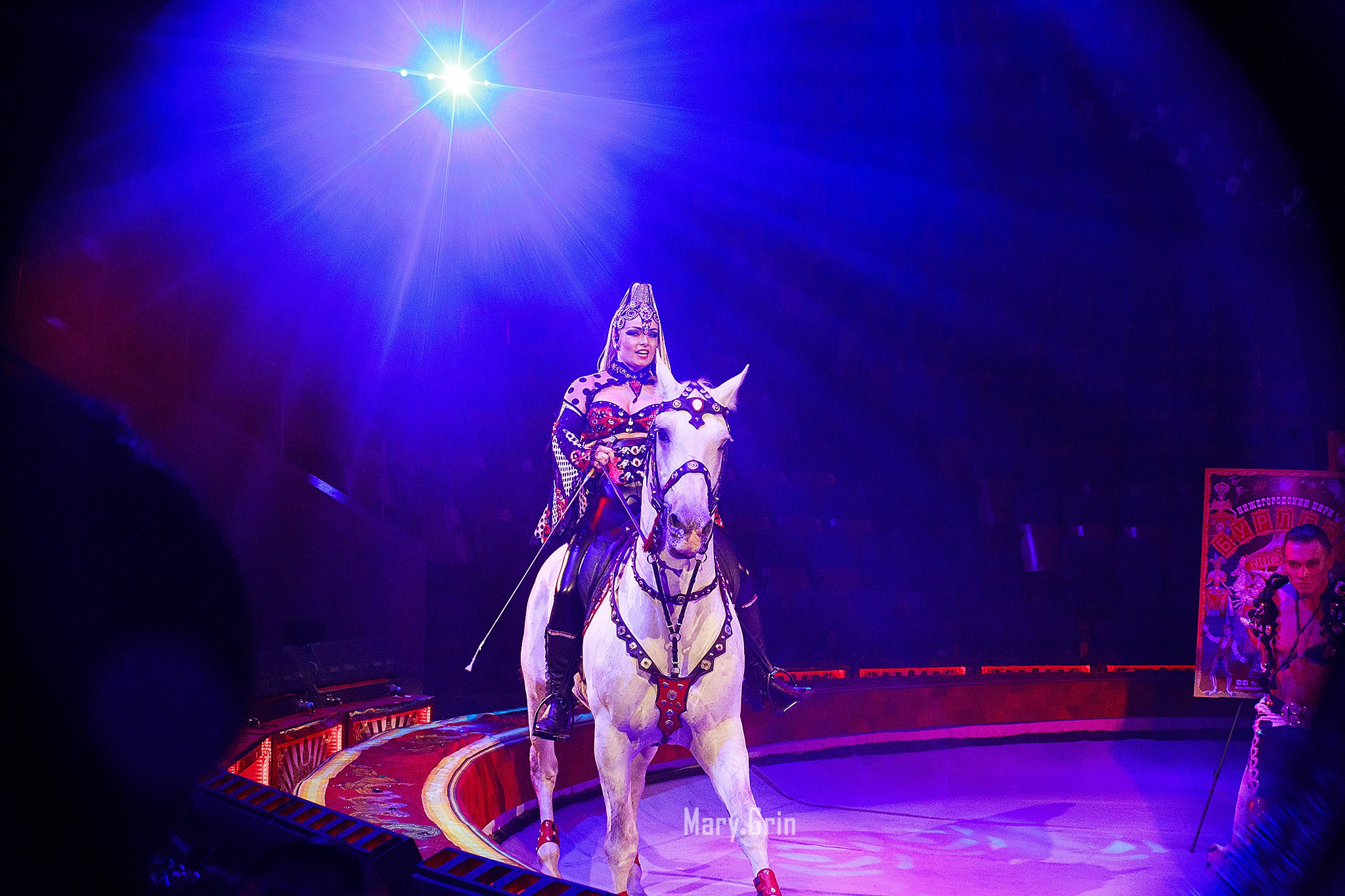Цирк Гии Эрадзе. Детский и семейный фотограф, фотограф мероприятий Нижний Новгород