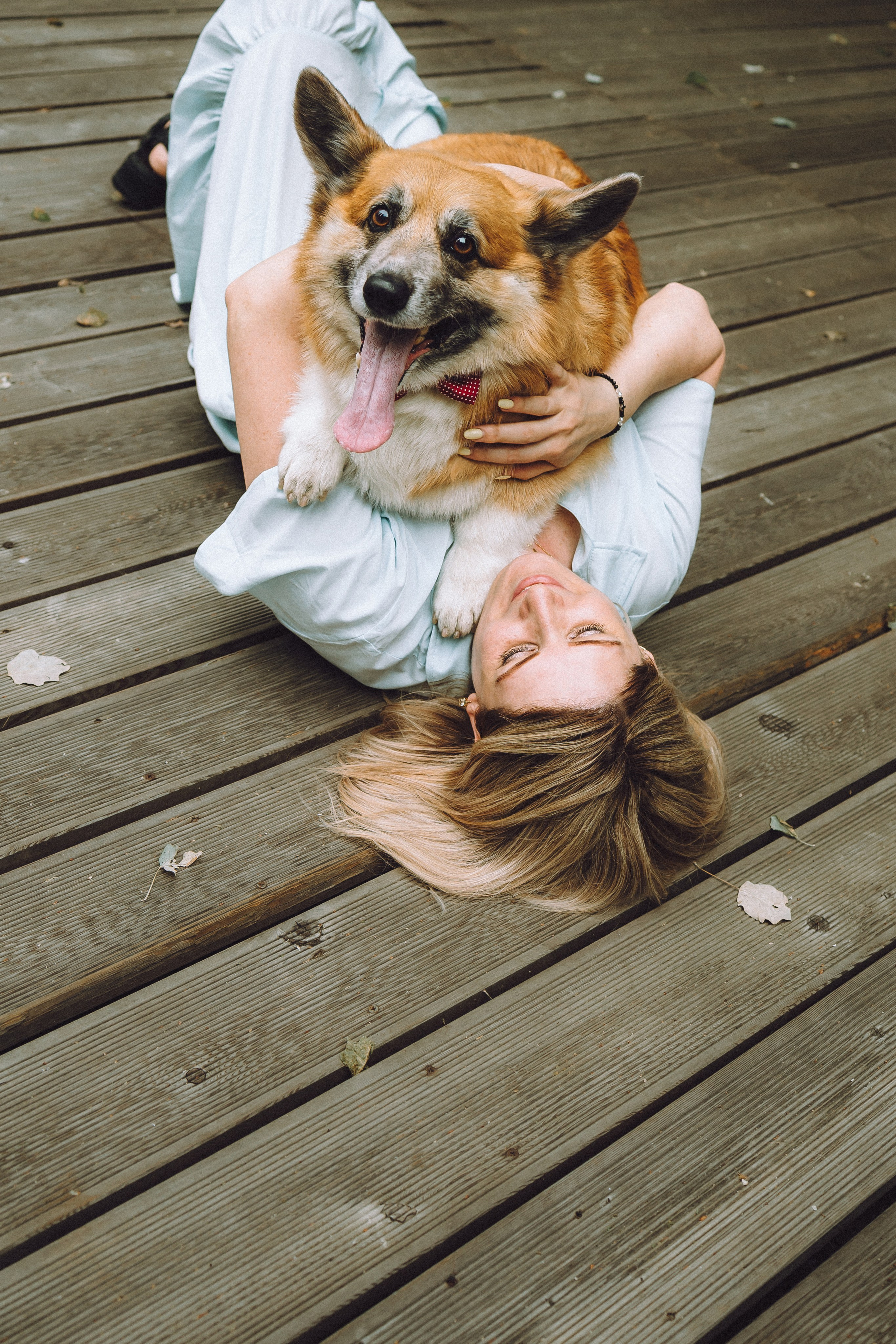 Ира, Леша и Харли