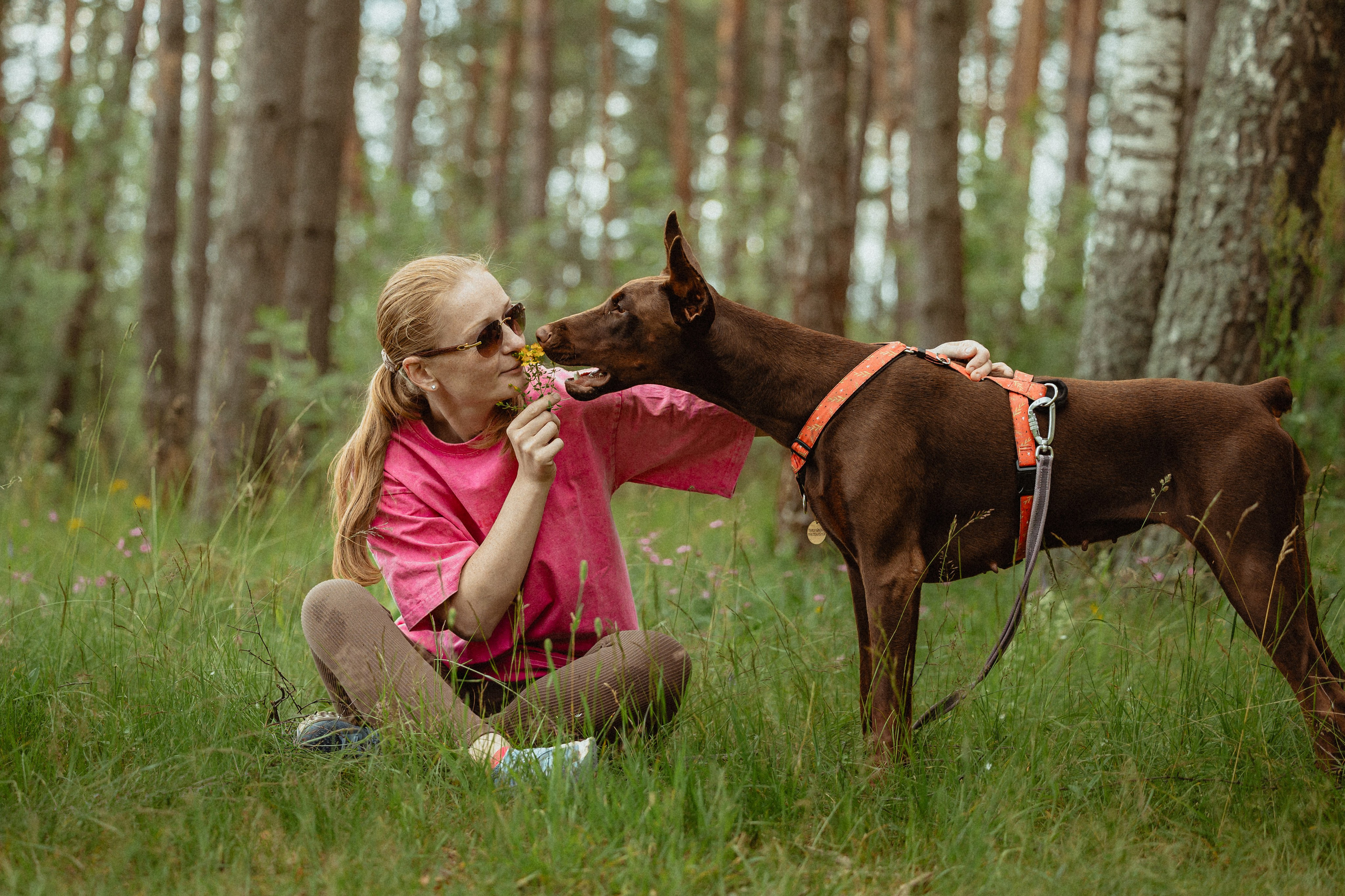 Выездной дог-тренинг от школы «Шерсть имею»
