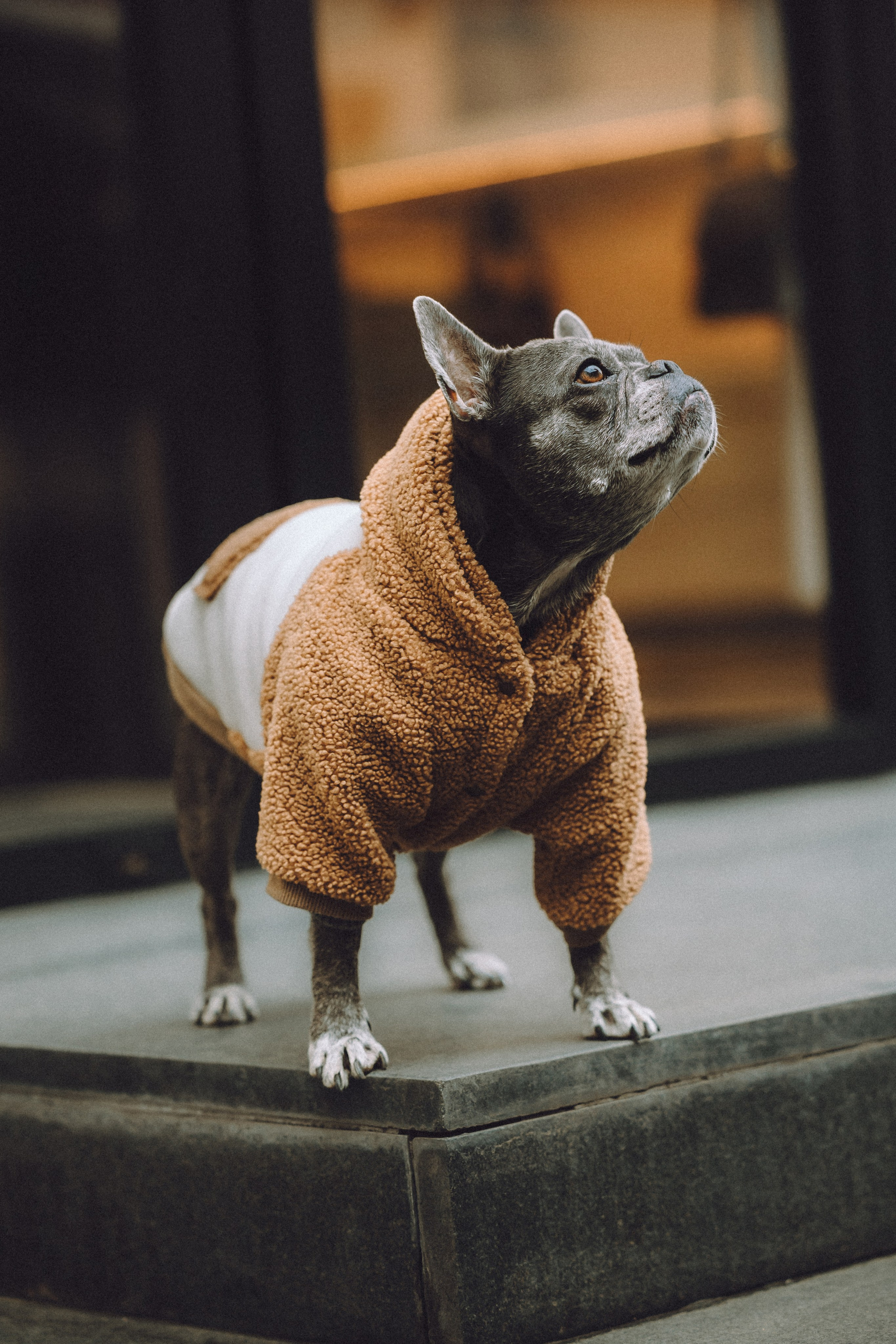 Юля, Вова и Моня