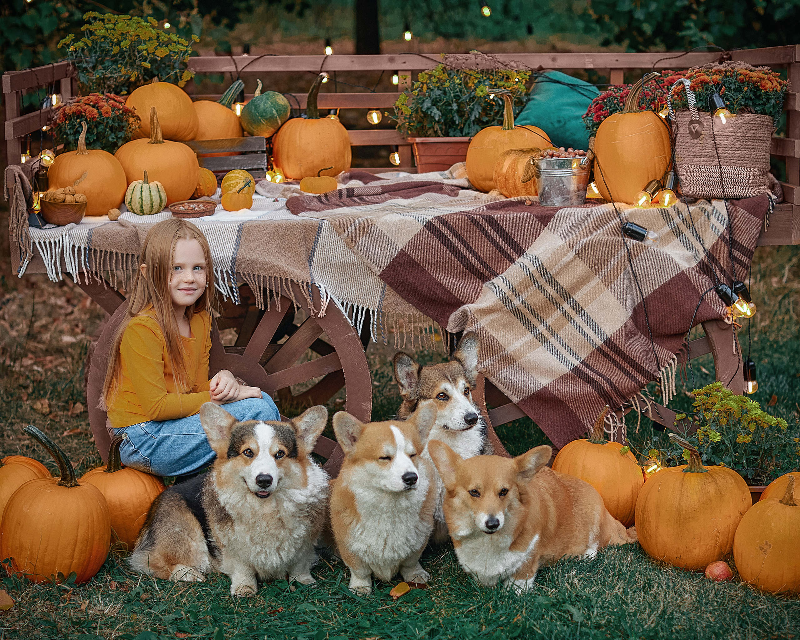 Фотосессия с дикими и домашними животными. Профессиональный фотограф в Москве Наталья Белова