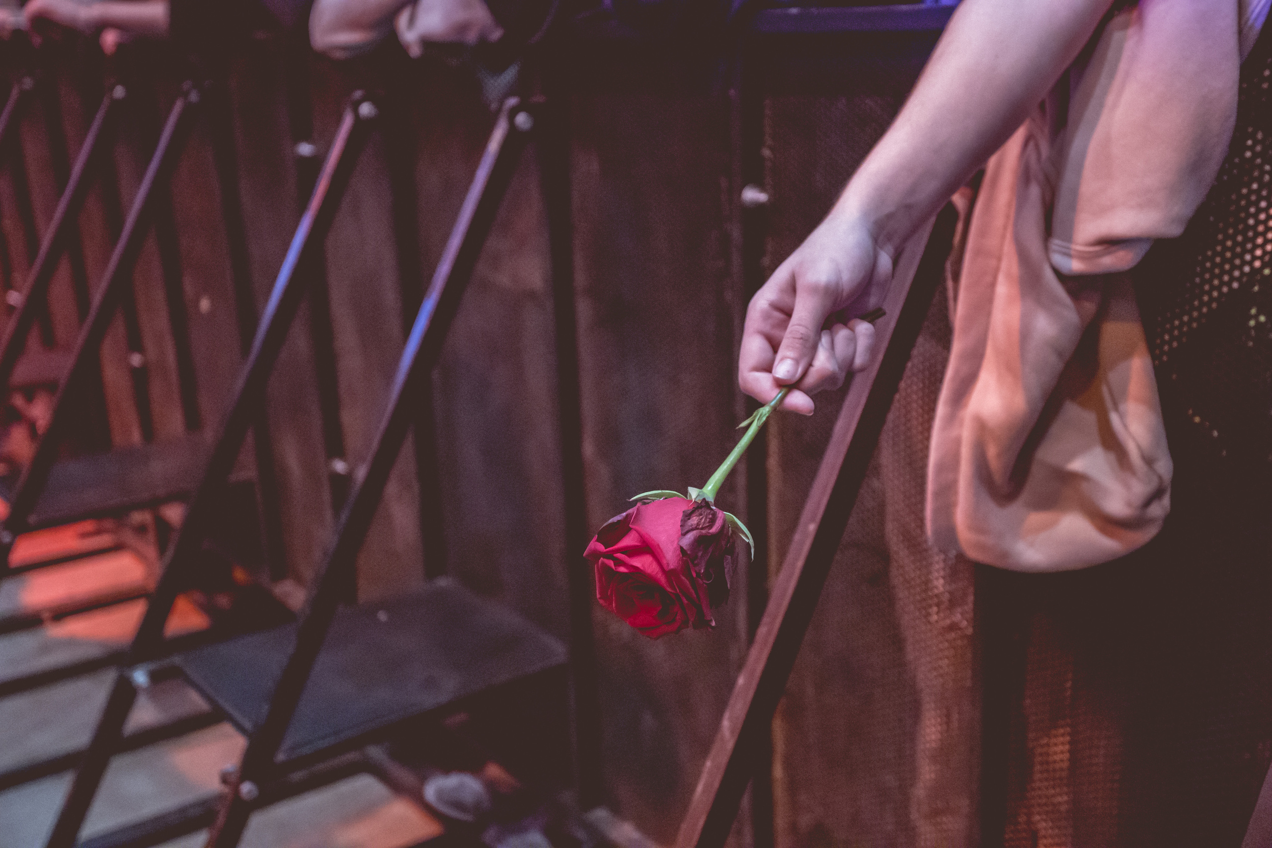 SAYPINK!. Фотограф Сонкина Татьяна