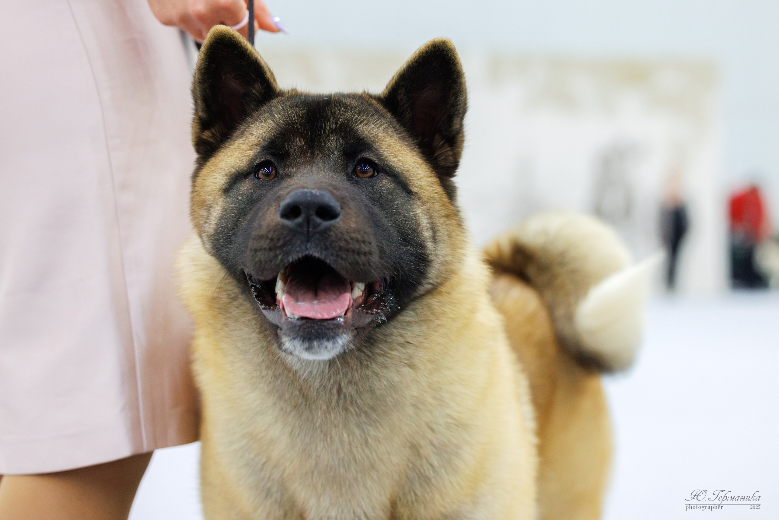 Сабанеевка Казань 25-26.01.2025. Фотограф-анималист Юлия Германика