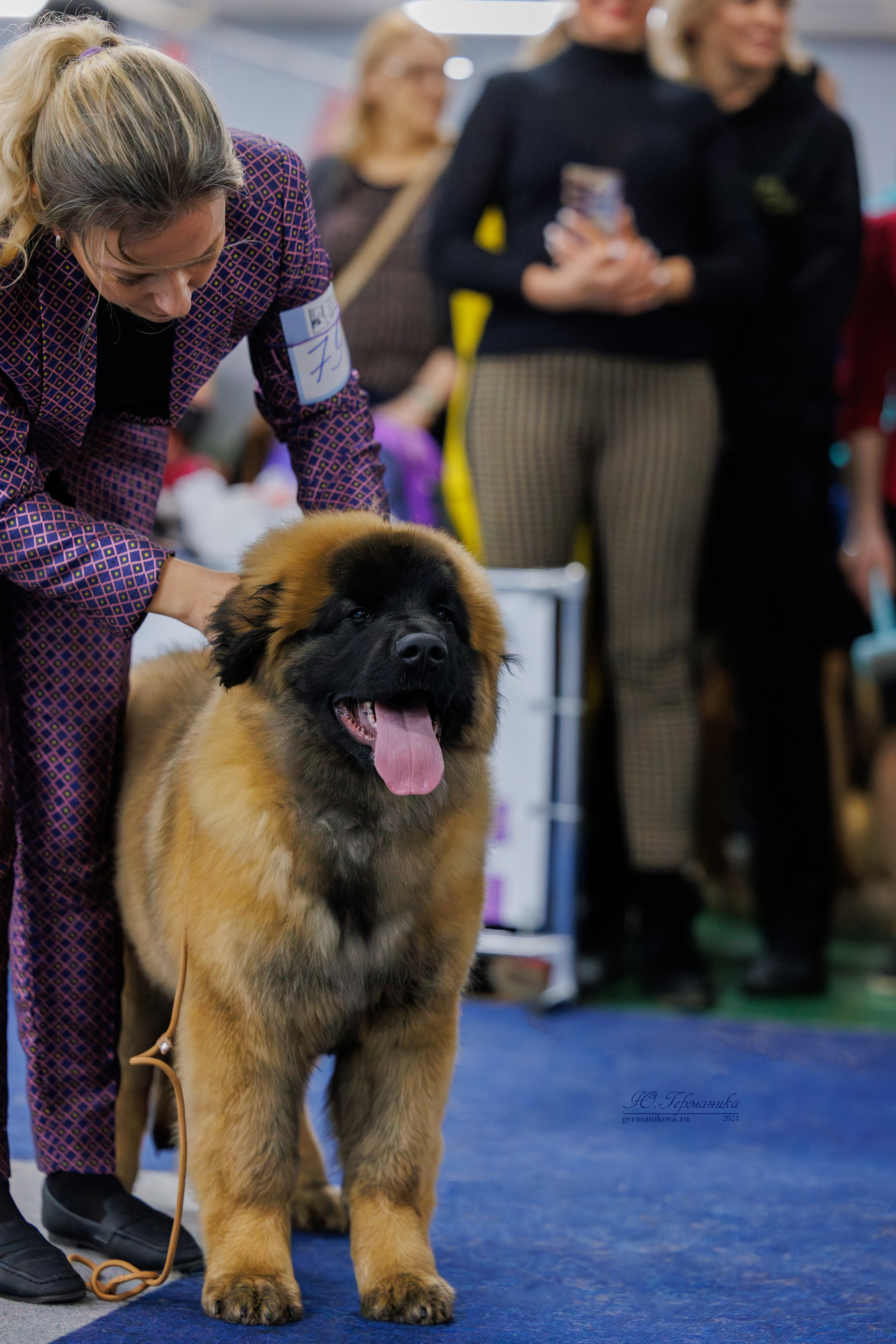Крокус 21.12.2024,Сфера 29.12.2024. Фотограф-анималист Юлия Германика