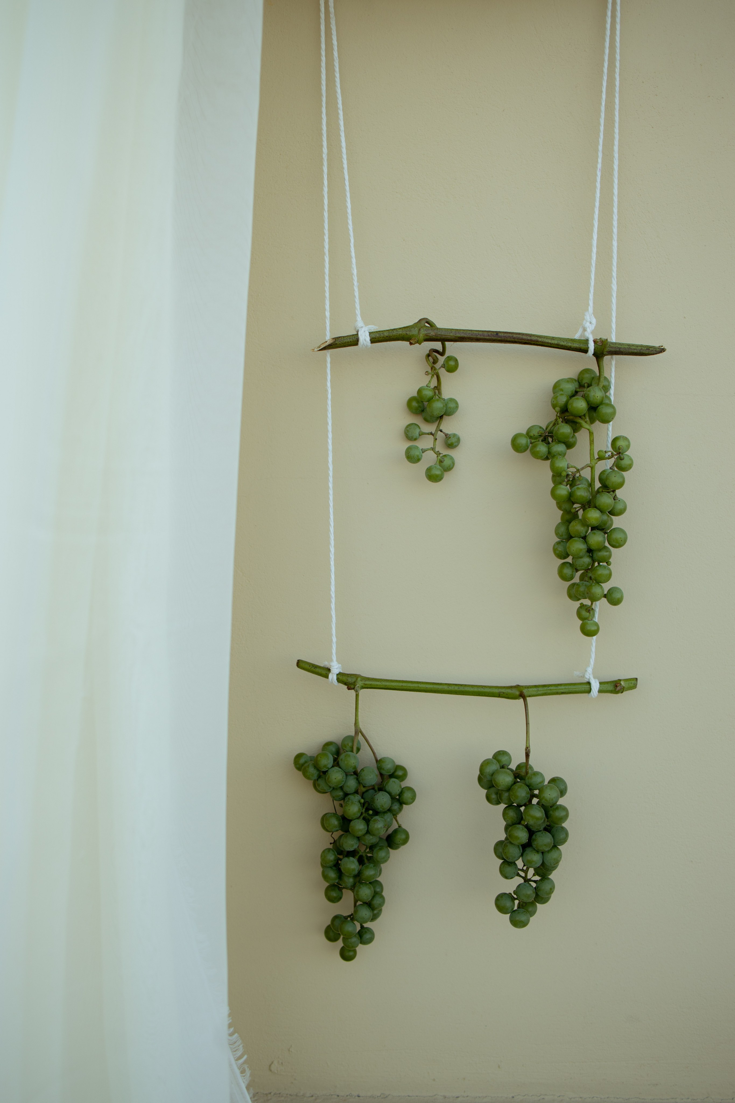 ДР Дианы. Пекин. Оформление свадеб, декор свадеб Вера Маркова, Москва