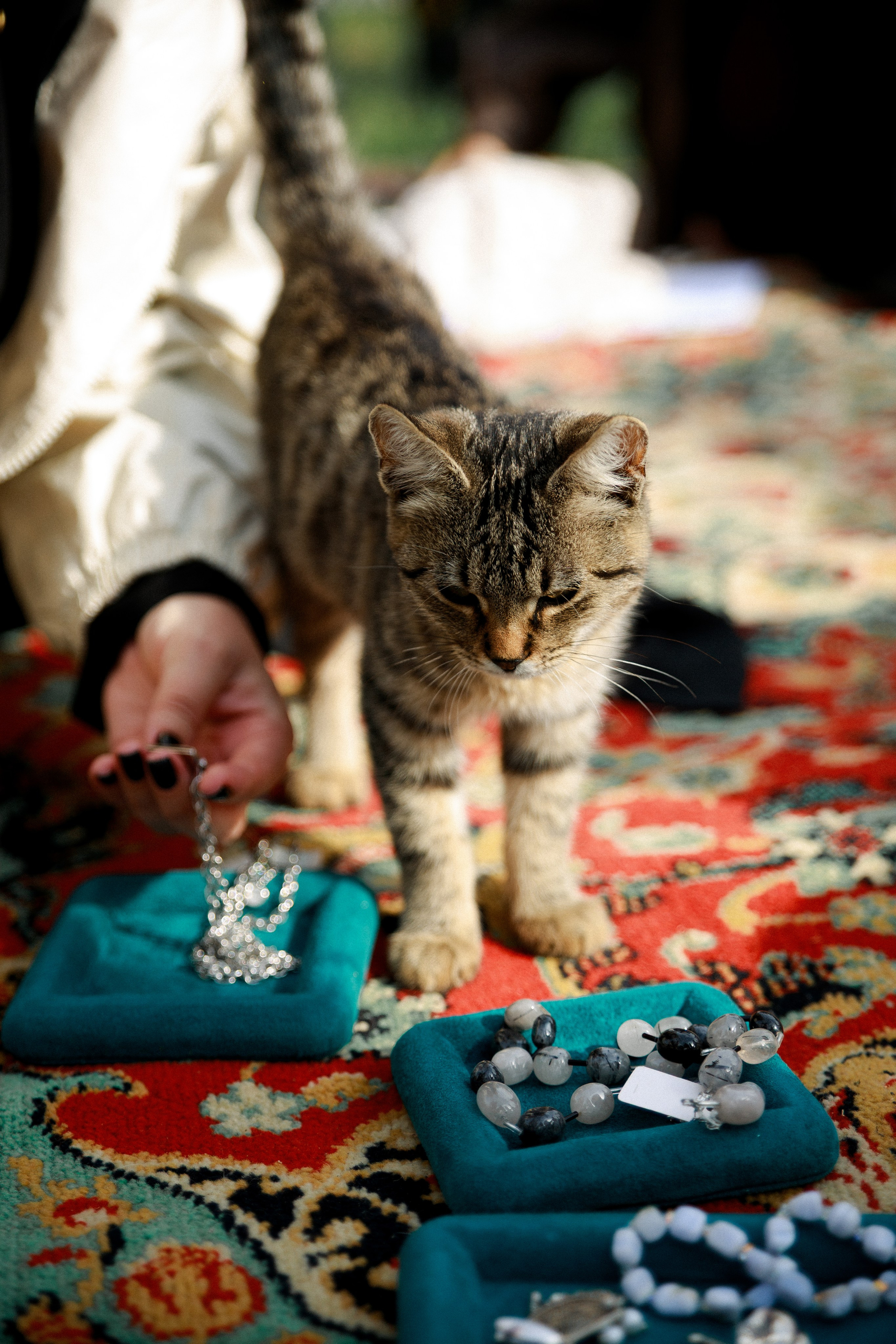 Blest & Pahnet ♡❀. Фотограф Ростов-на-Дону Свадебный Фотограф в Ростове Ксения Орлова