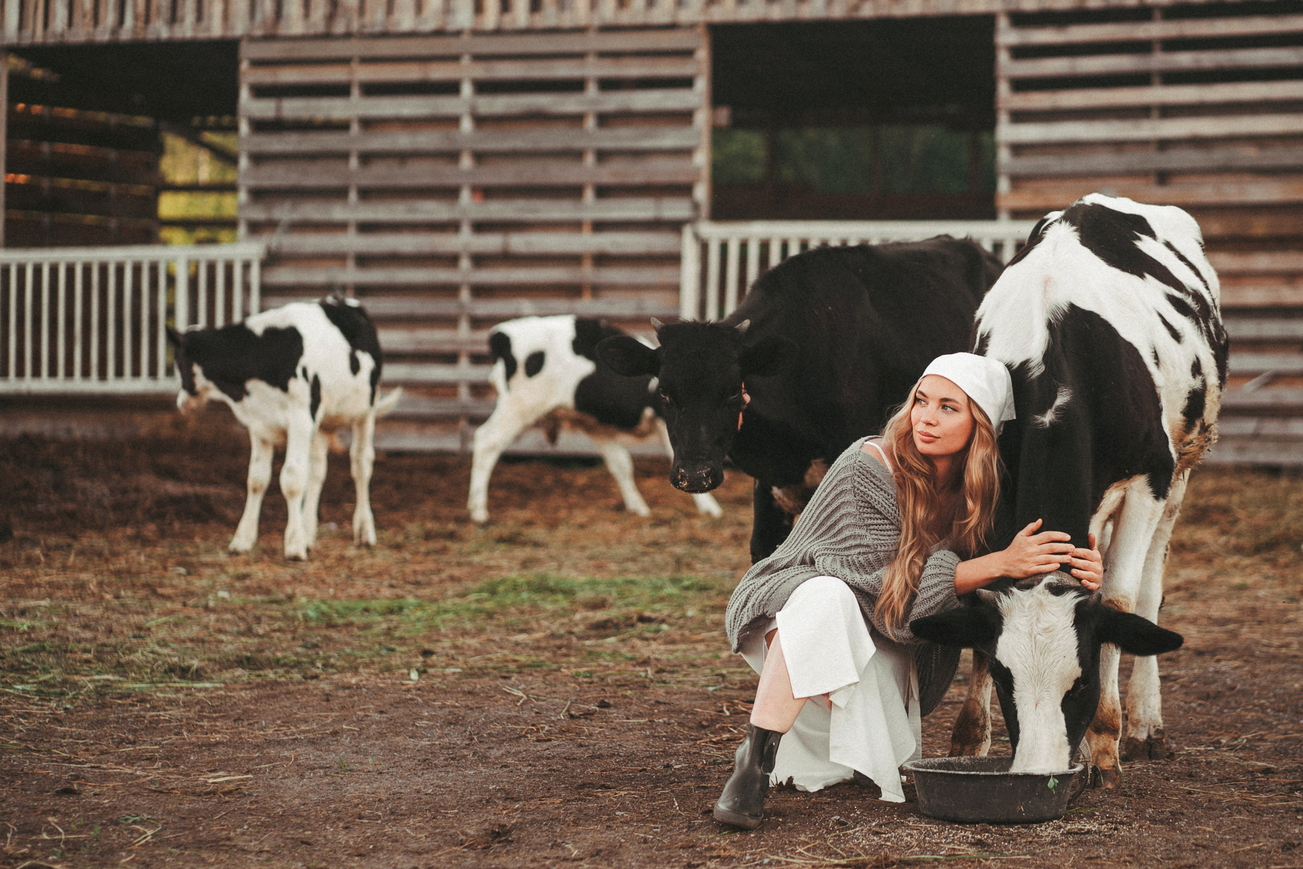 Художественные. Главная