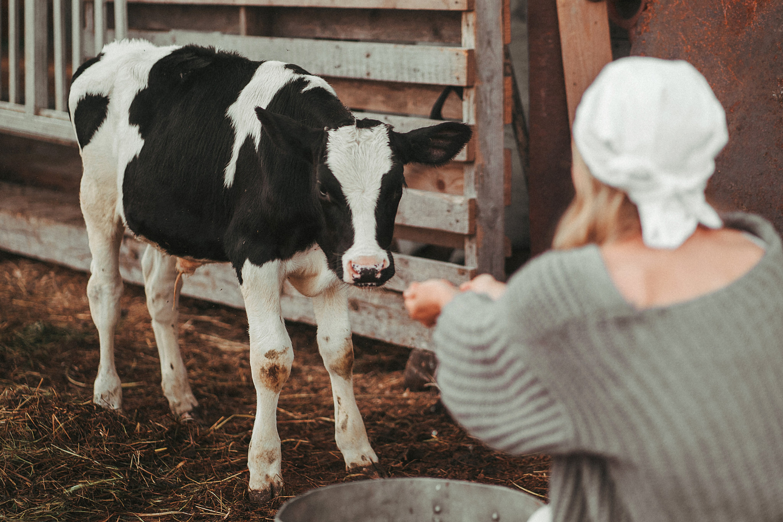 Художественные. Главная