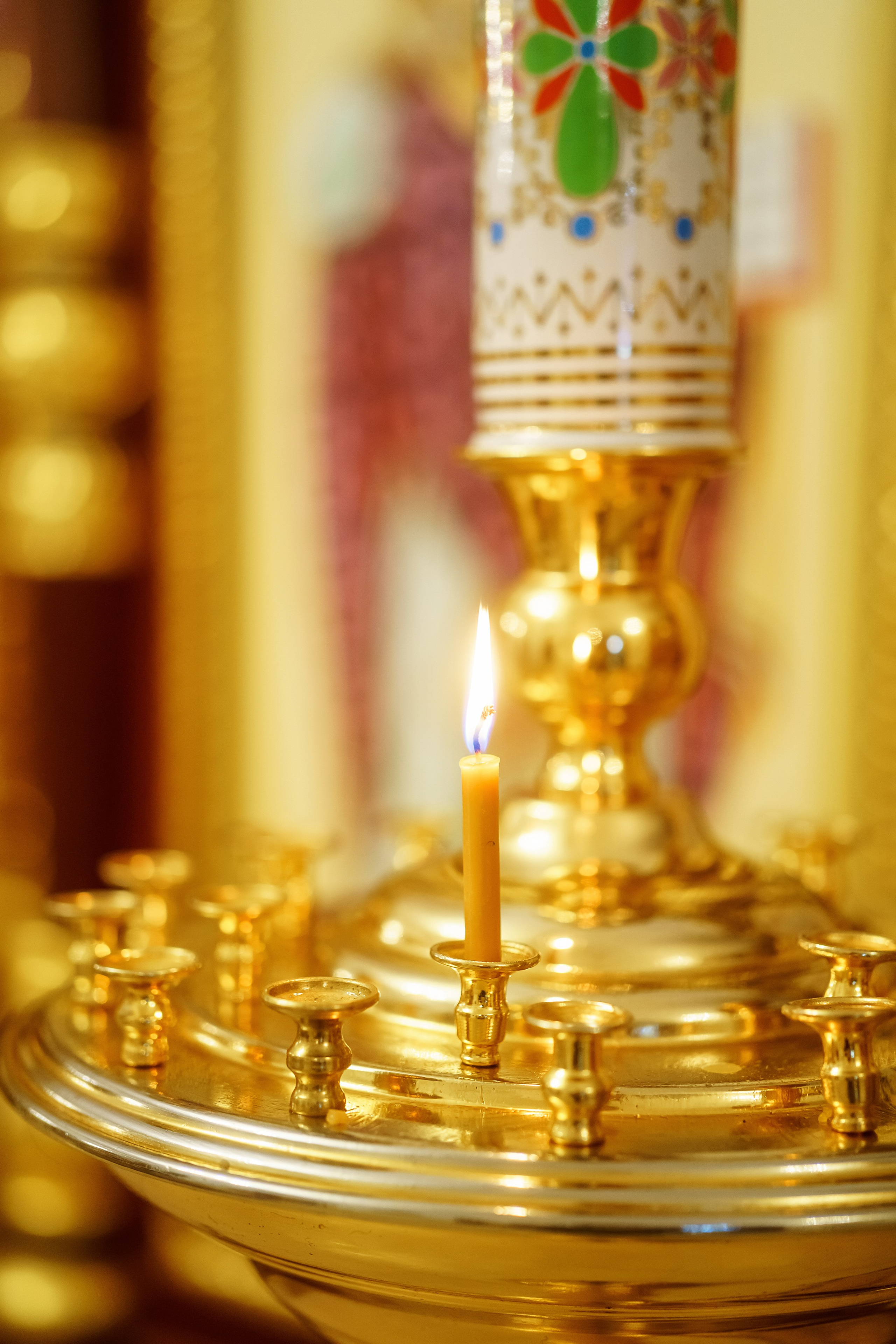 . Фотограф в Москве и Одинцово