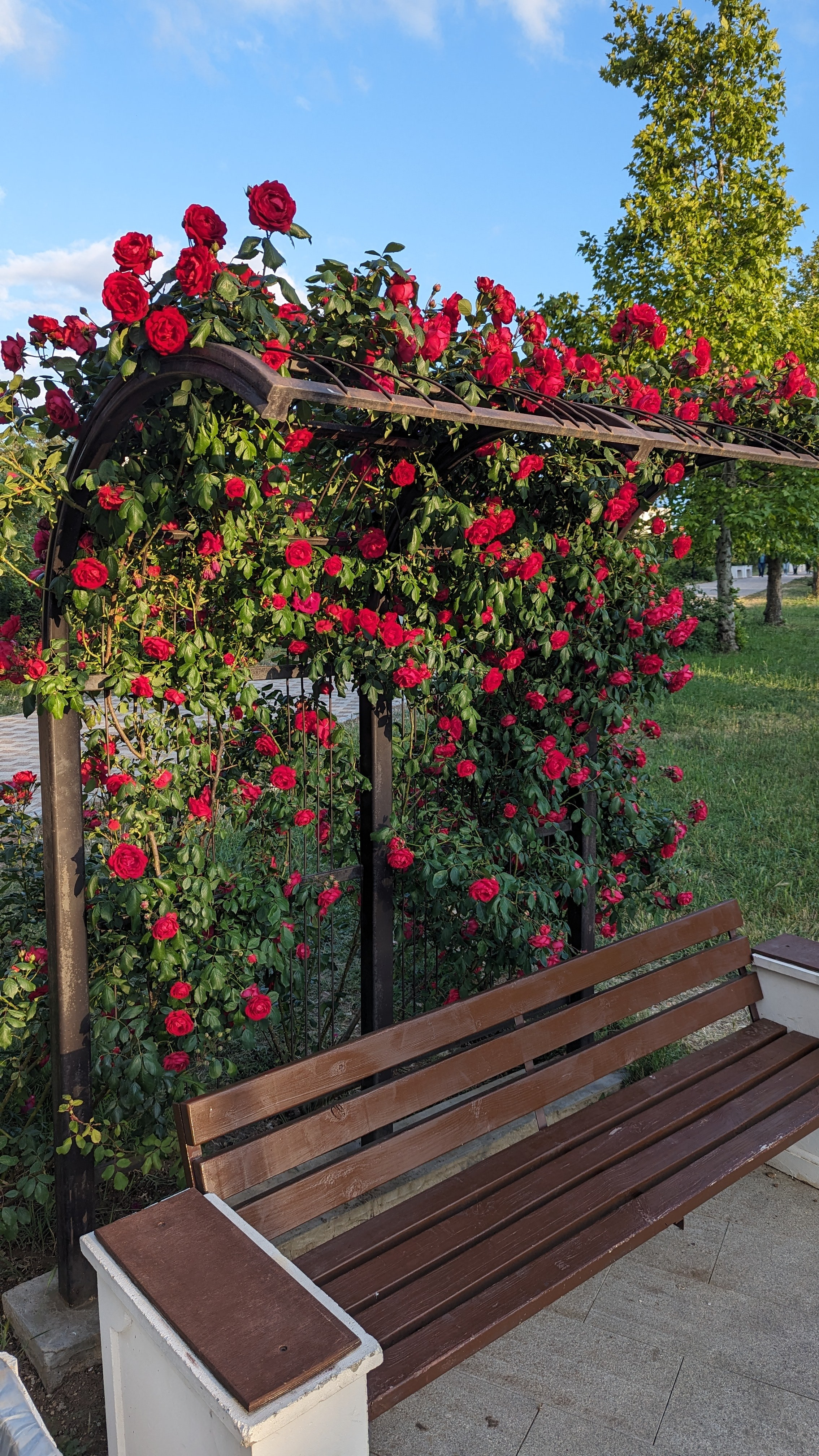 Самые красивые локации города Севастополь. Где пофотографироваться в Севастополе? Локации для фото. 1 место. Первое место. Место. Бывшее мес. Профессиональная фотосъемка в Крыму. Натуральные эмоции и живые кадры. Забронируйте дату прямо сейчас!