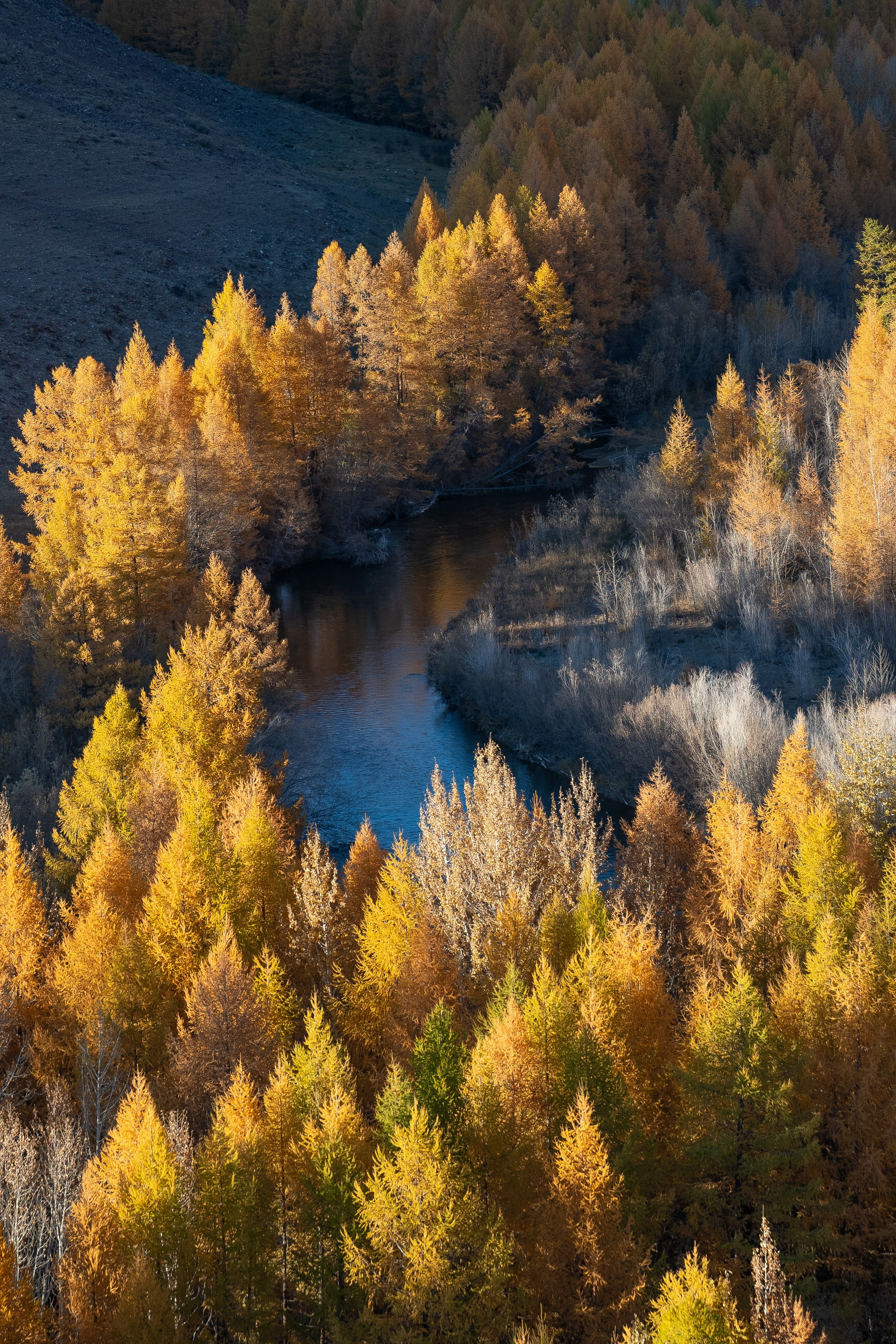 Горный Алтай. Фотограф Антон Денисенко: Портрет, Документалистика, Пейзаж. Москва