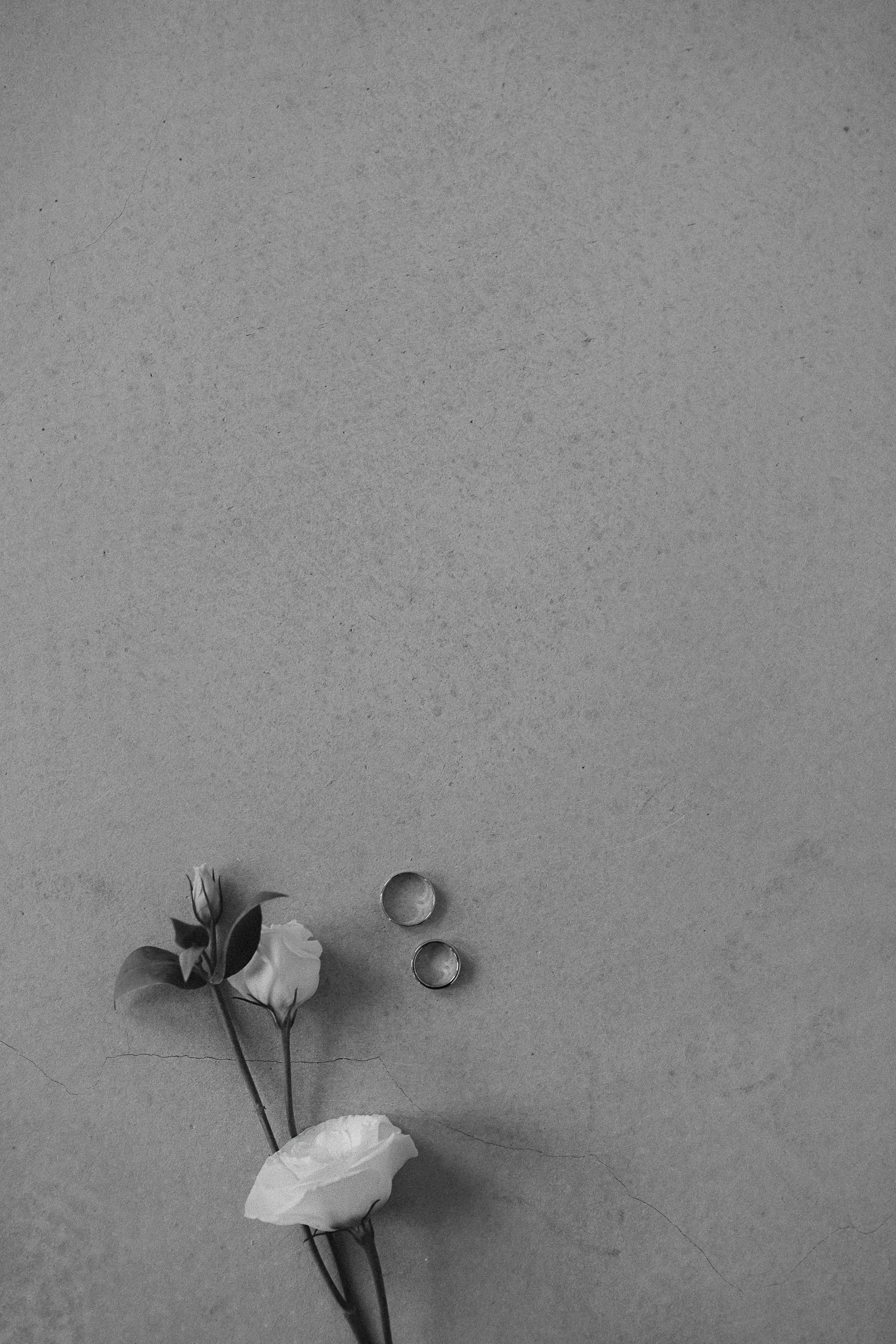 Ксюша и Никита. Эстетичный свадебный репортаж в любом городе страны