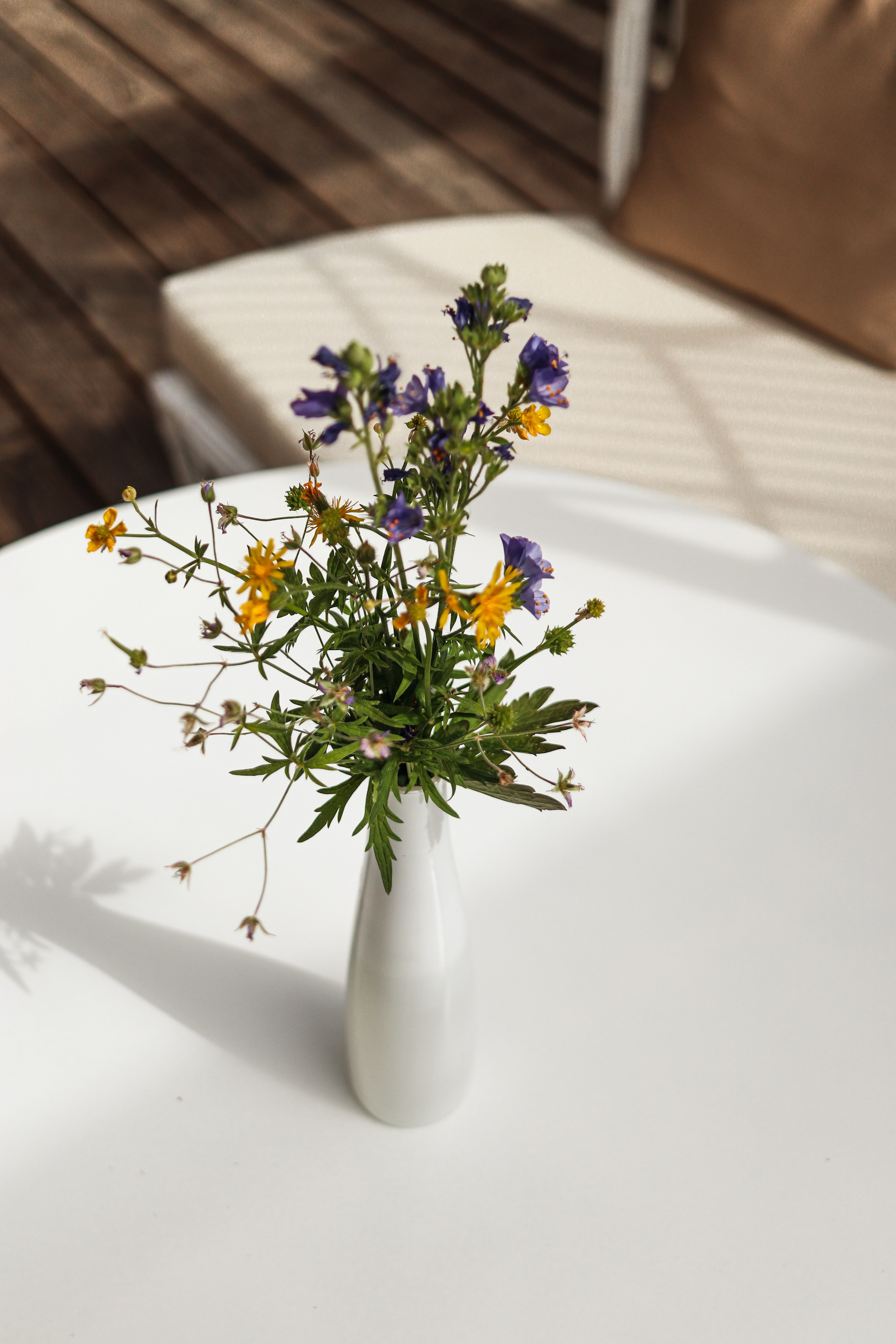 «Pinewood» парк-отель, респ. Алтай. Контент фотограф Дмитрий Борисов