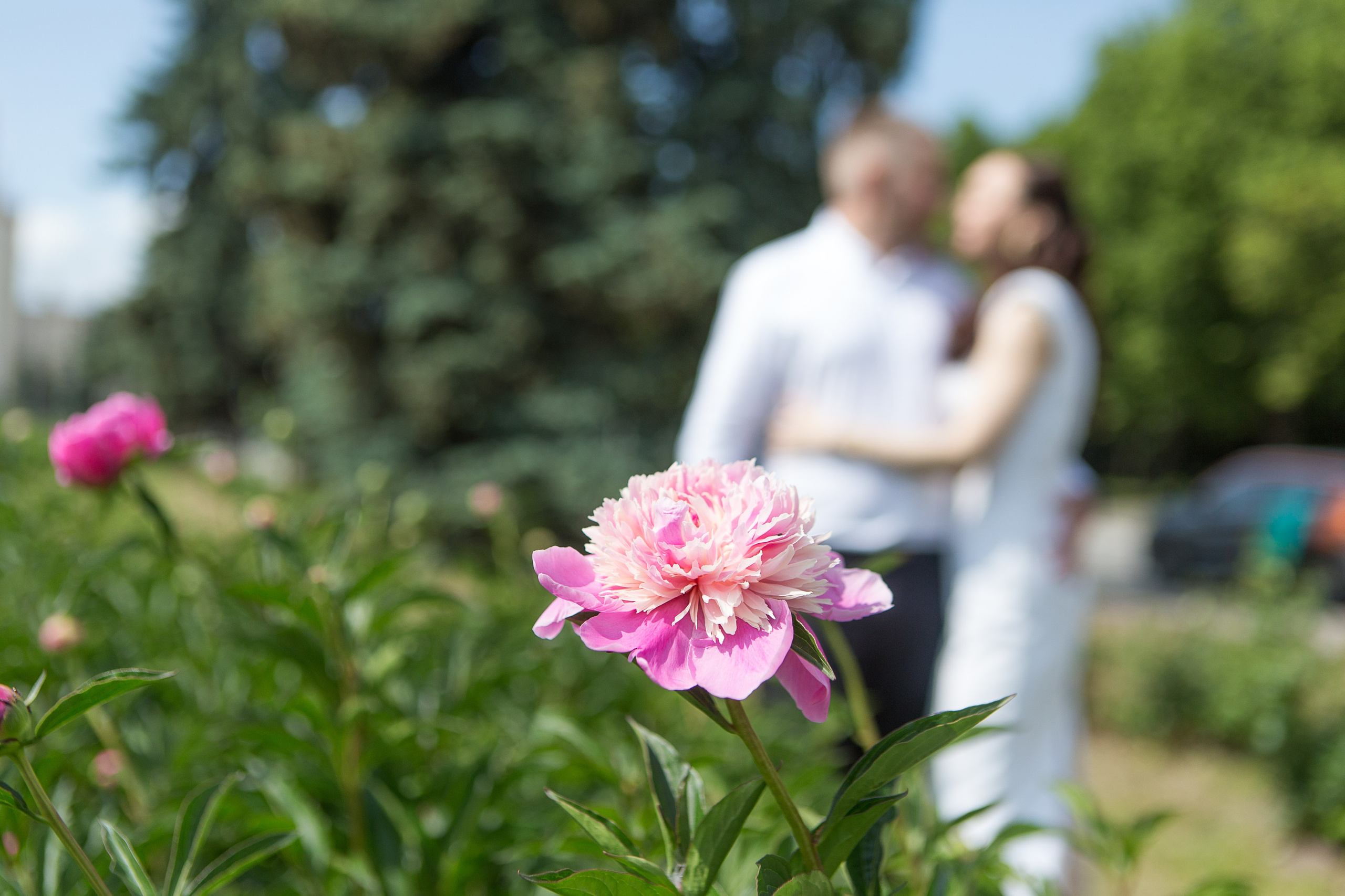 Загс Кутузовский (Любовь & Олег). Профессиональная фотосъемка в Москве и МО — Фотограф Анна Дроздова | Опыт более 10 лет