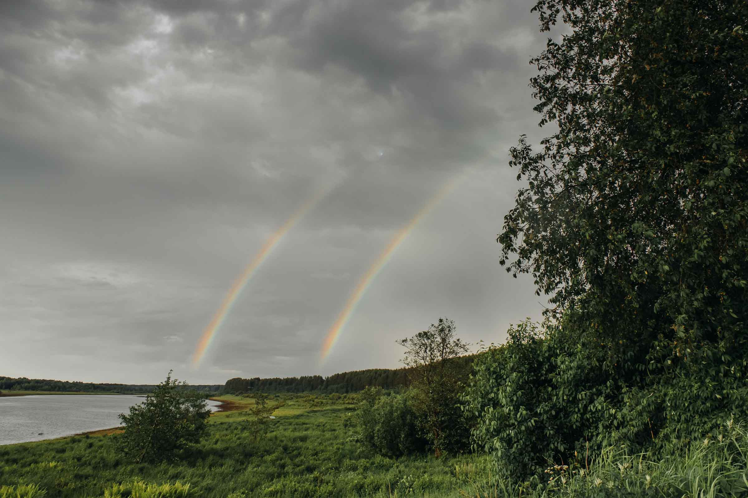 Дима, Алена, Лев. Свадебный и семейный фотограф в Котласе Никита Попов