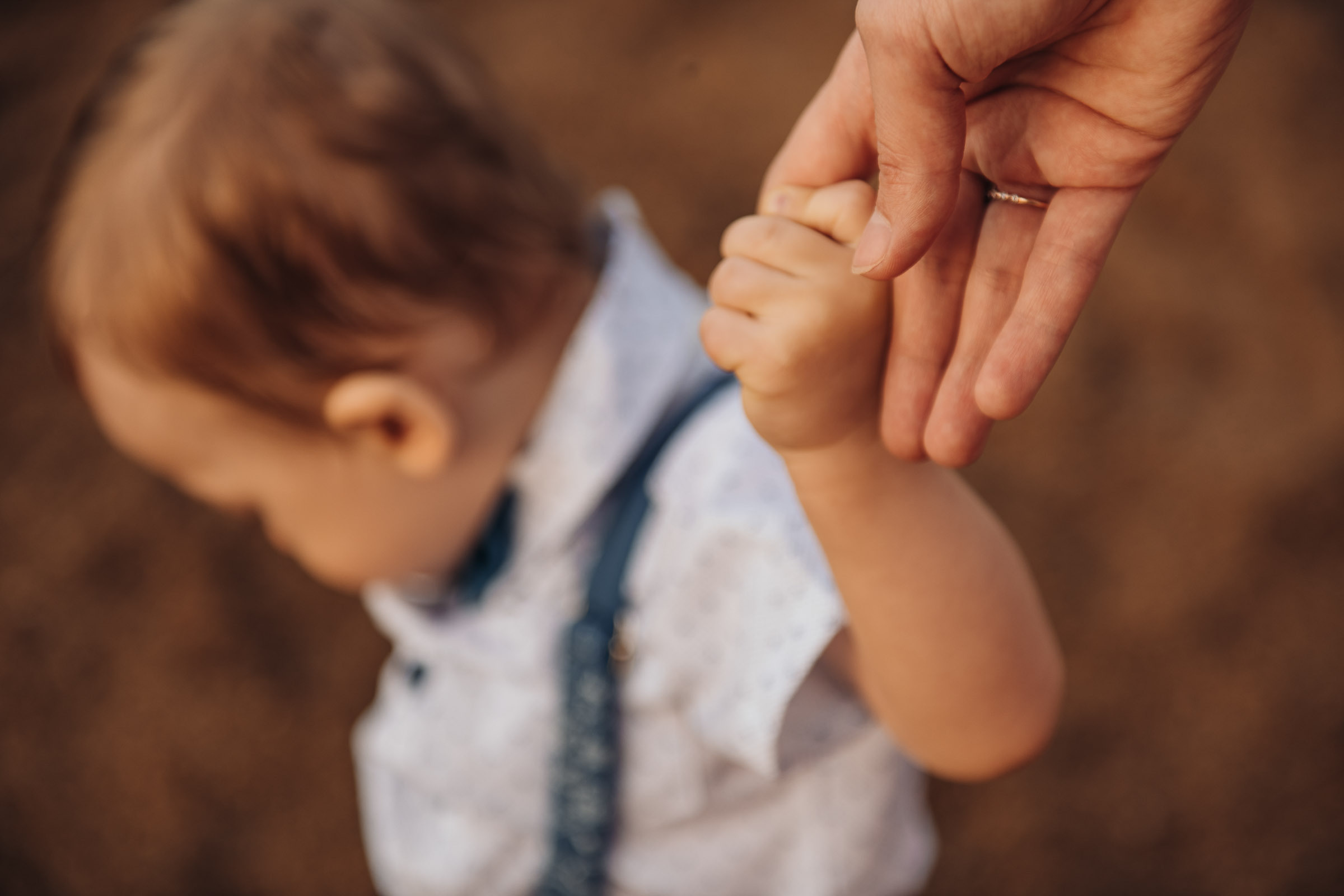 Дима, Алена, Лев. Свадебный и семейный фотограф в Котласе Никита Попов