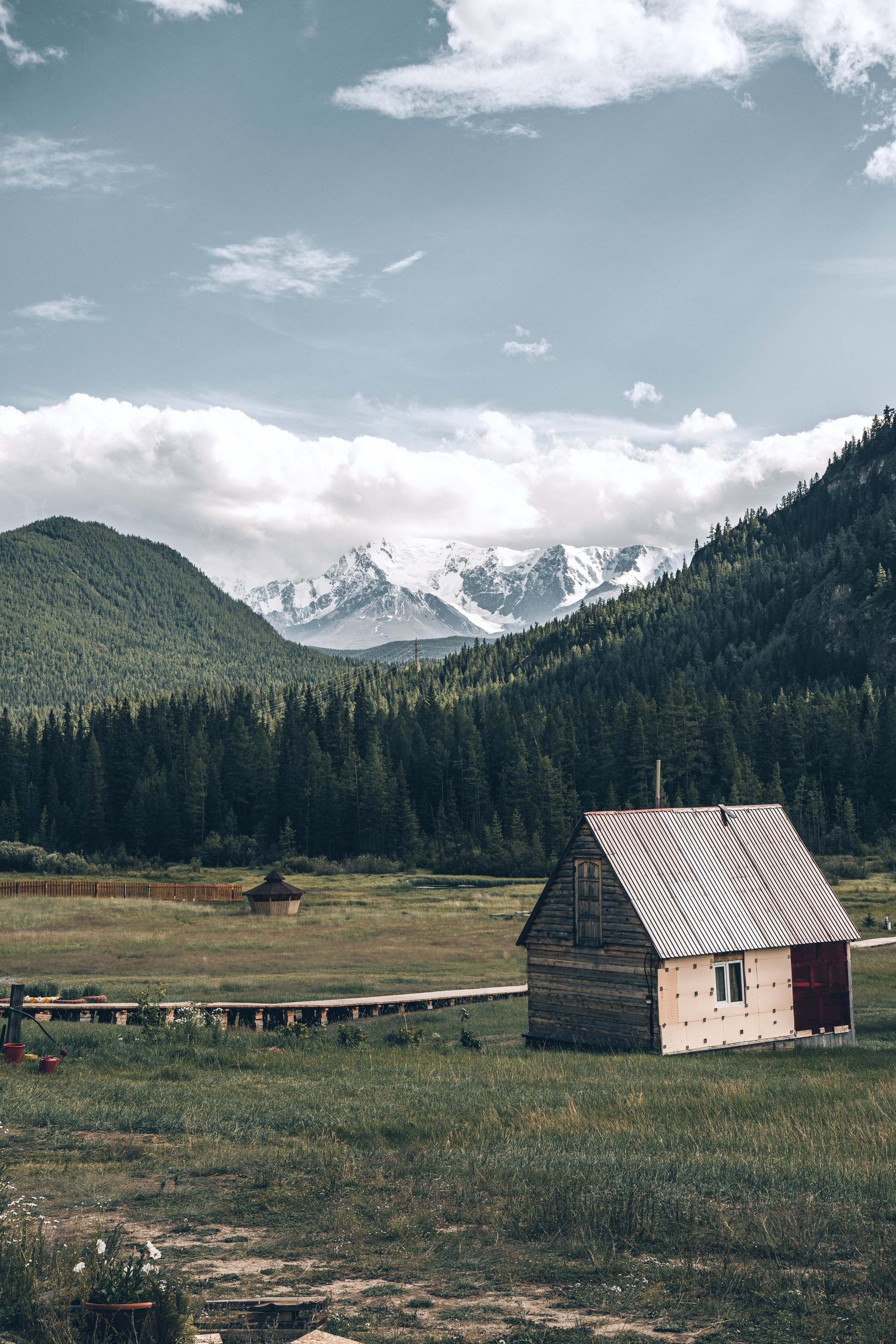 Портфолио. Andrew Gusarov Nature Photography