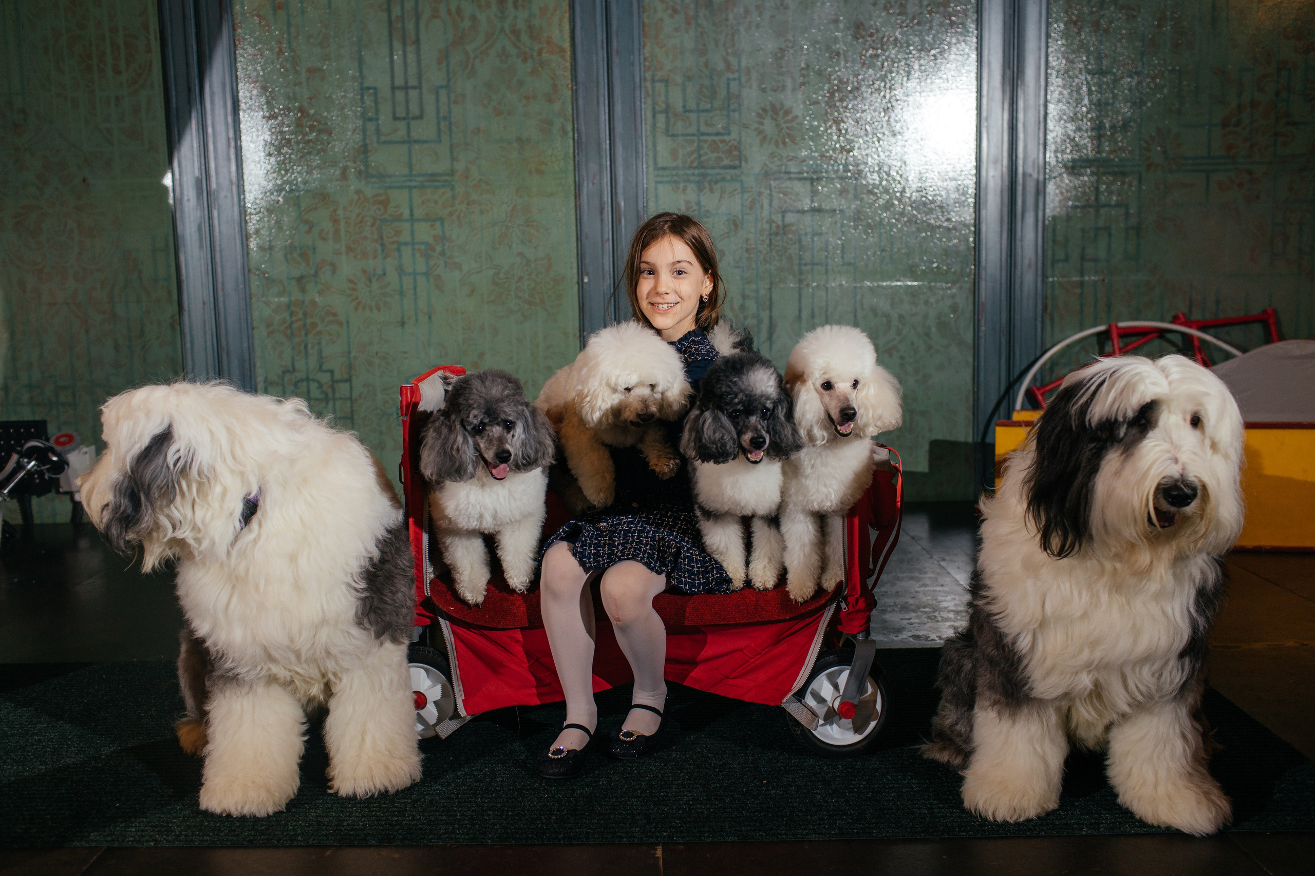 Алине 7 лет. Свадебный и семейный фотограф