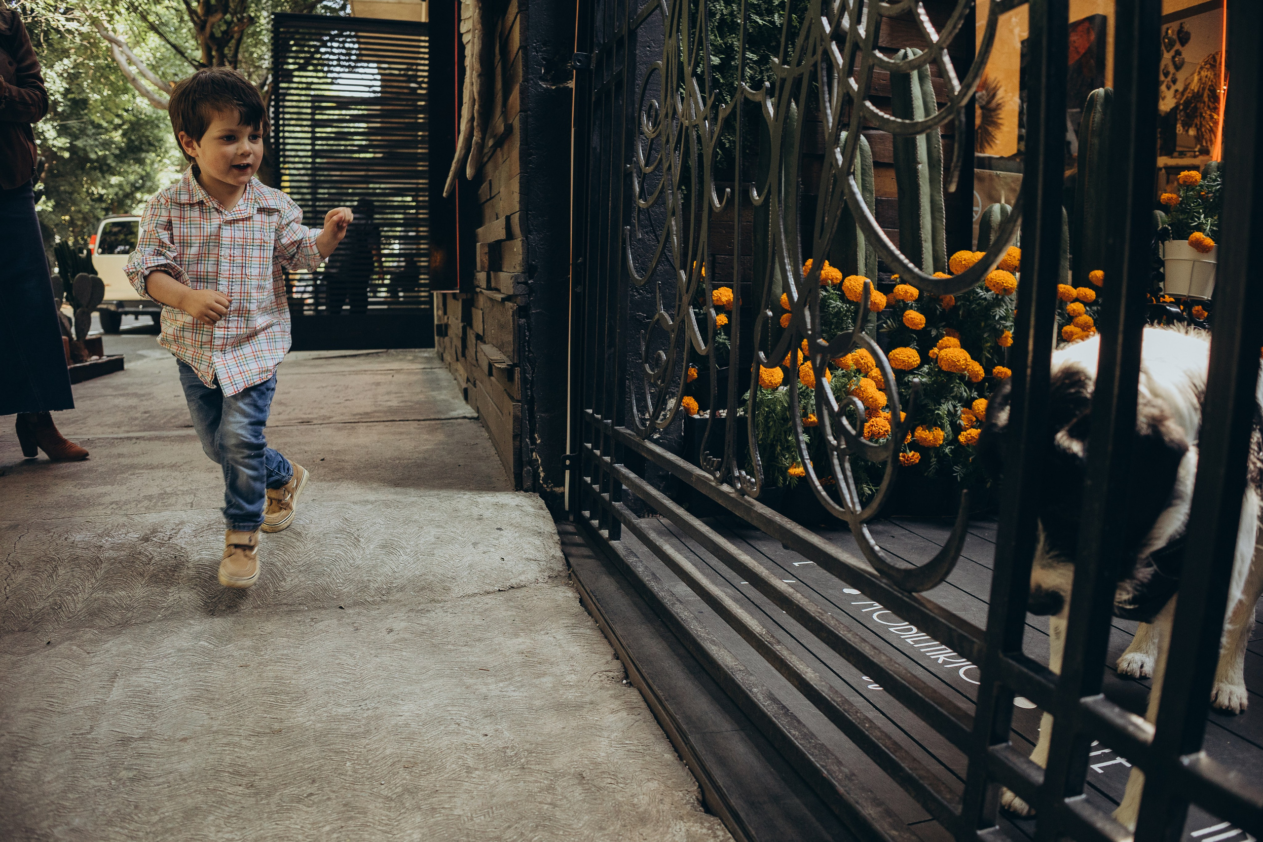 Sesión de fotos de mama e hijo en el Parque México, Condesa, Ciudad de México. Ирина Крохалева. Семейный фотограф в Екатеринбурге
