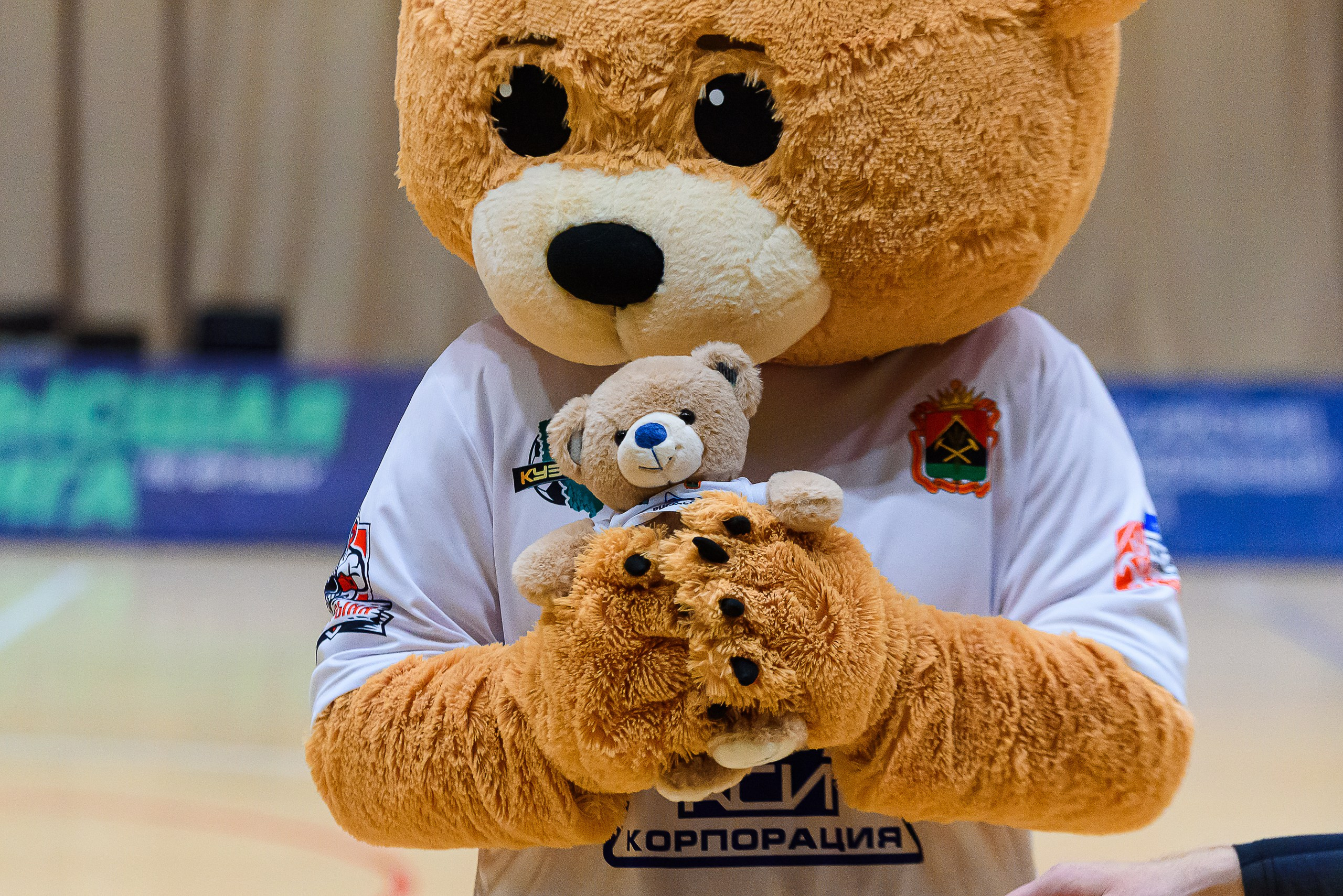 Высшая лига по футзалу — Сезон 2024-2025 — 2ой тур. Репортажный фотограф в Кемерово