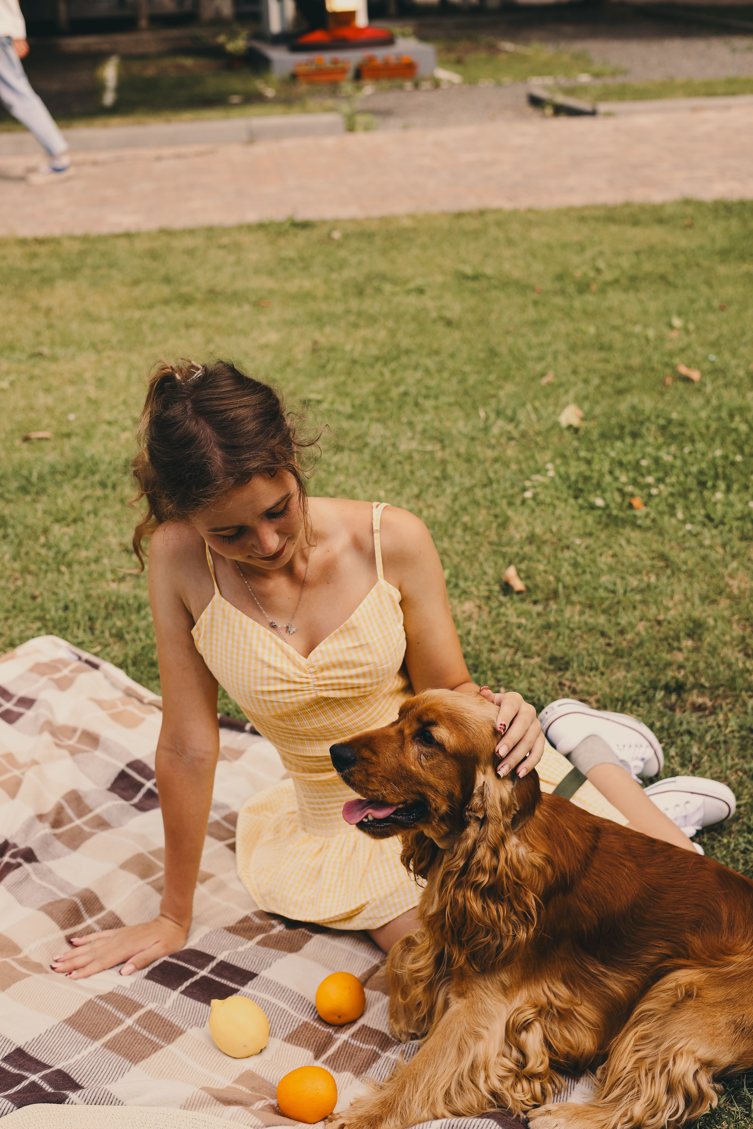 Фотопроект «Пикник со спаниелем». Фотограф Мария Лаенко