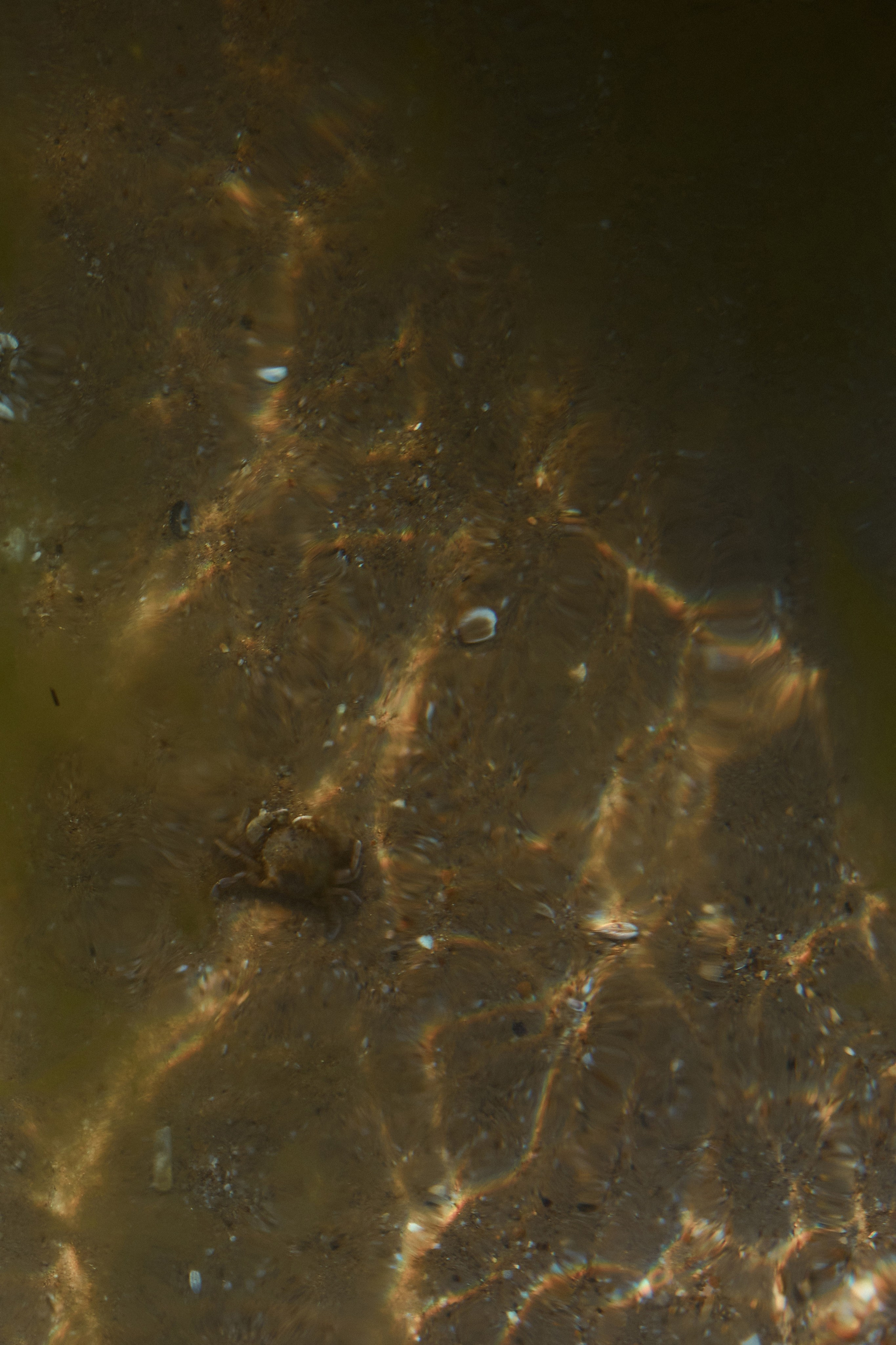 18|06|23. Анастасия Марунич | Блогер | Ставрополь