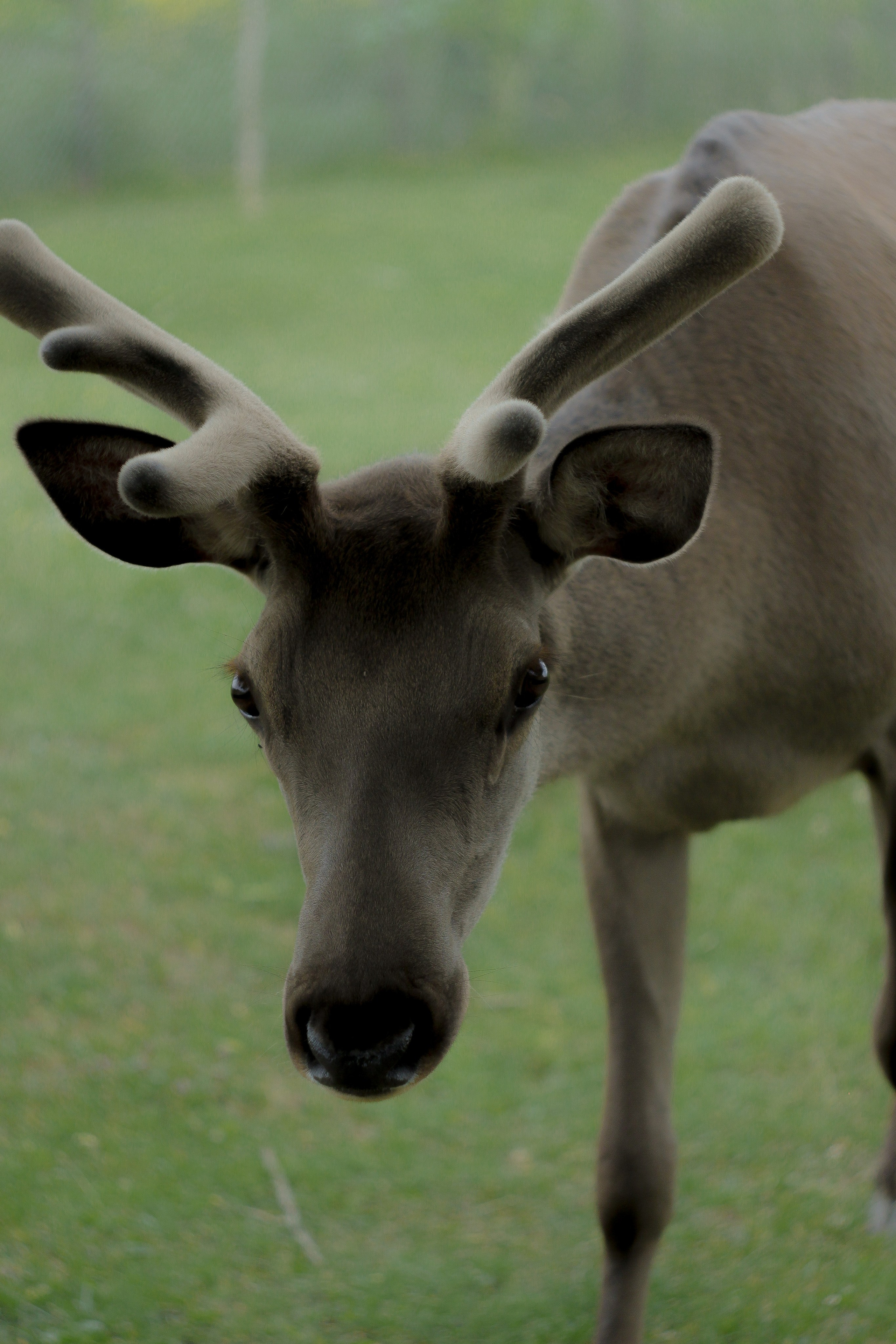 Эти волосы взял я у ржи. Портретный и художественный фотограф в Москве