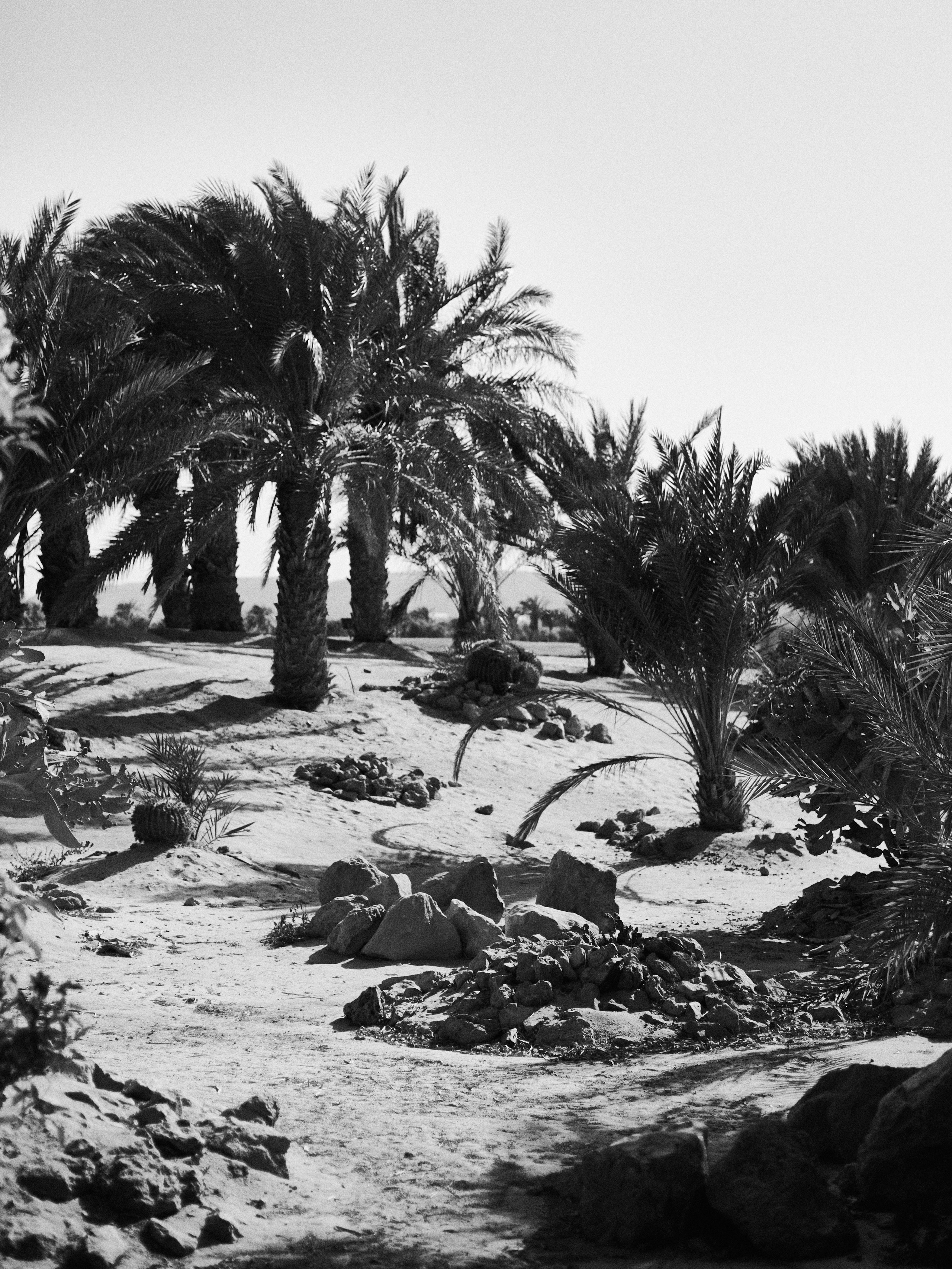 B&W. Jorgis — фотограф в Хургаде / обучение фотографии