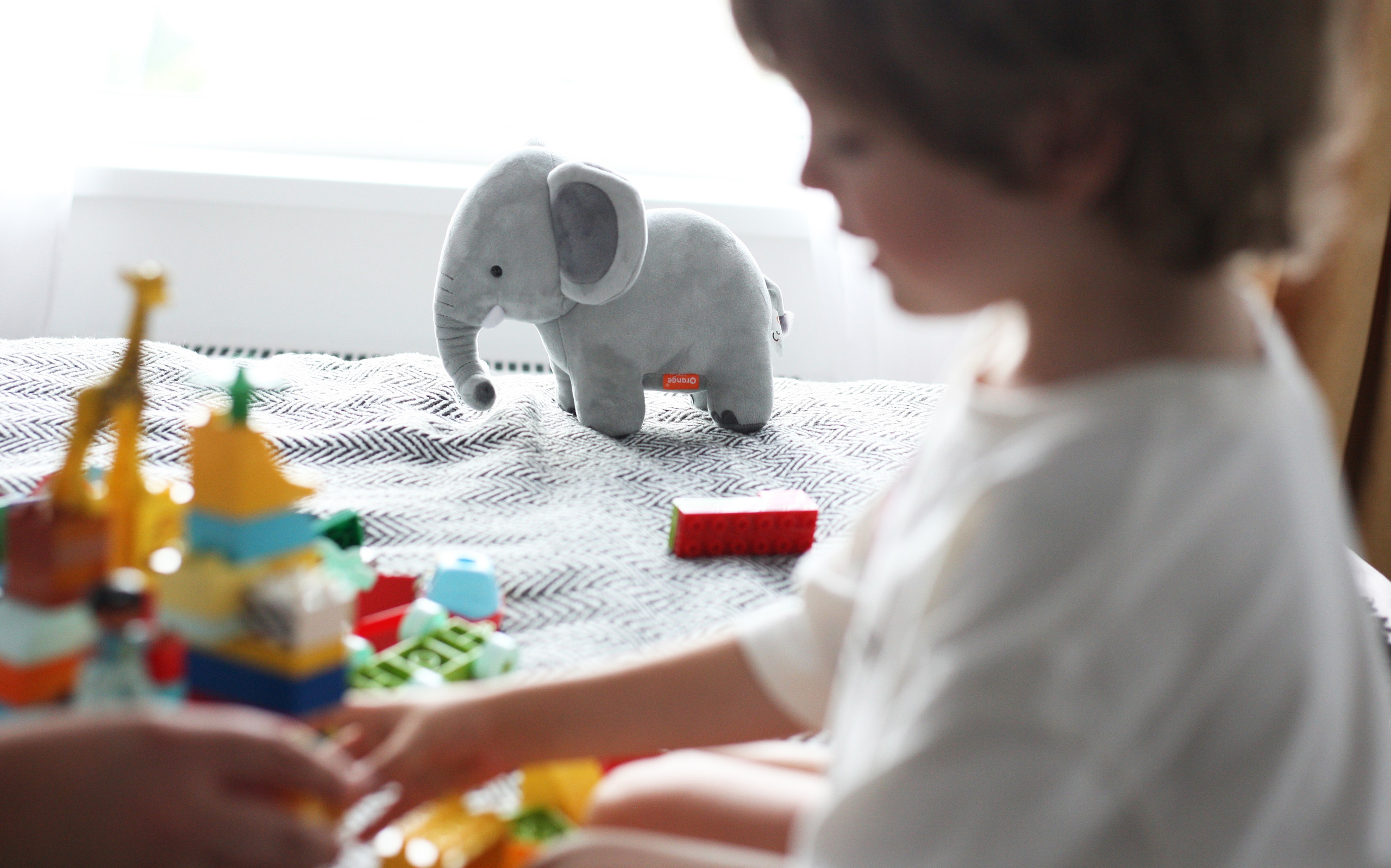 Семейная история. Фотограф в Москве Юлия Майорова