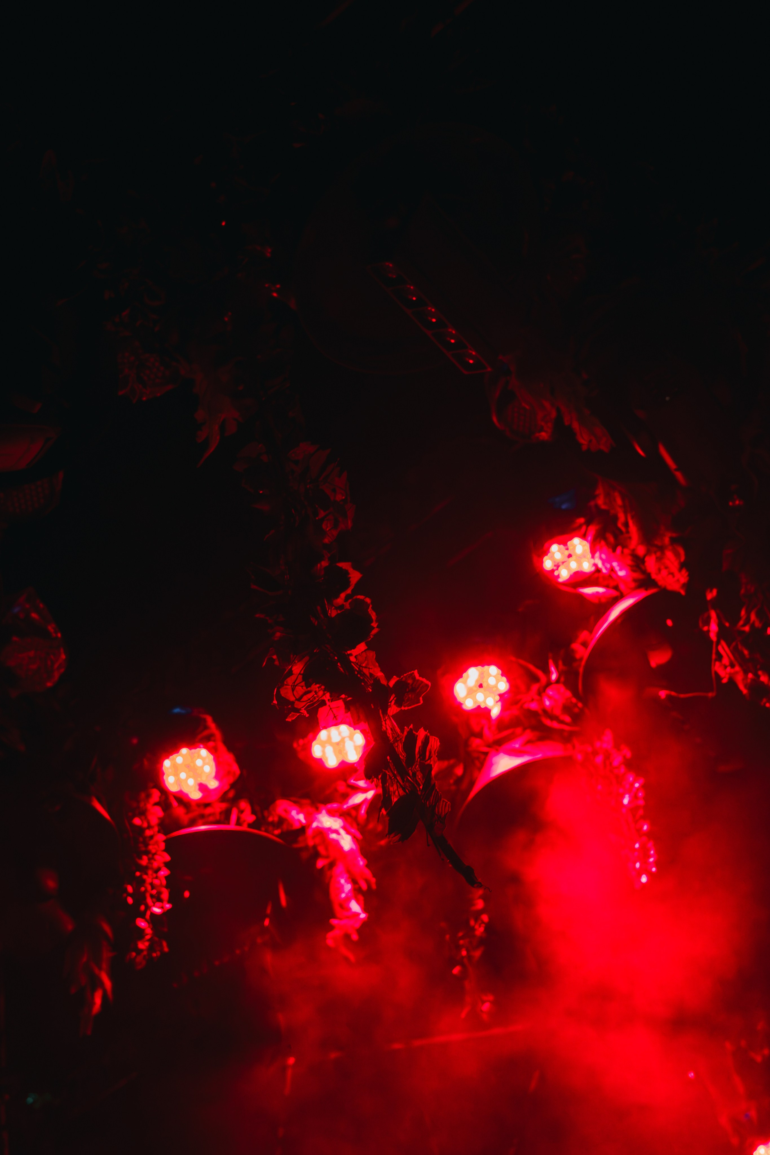 Event photography (old page). Сергей Зворыгин