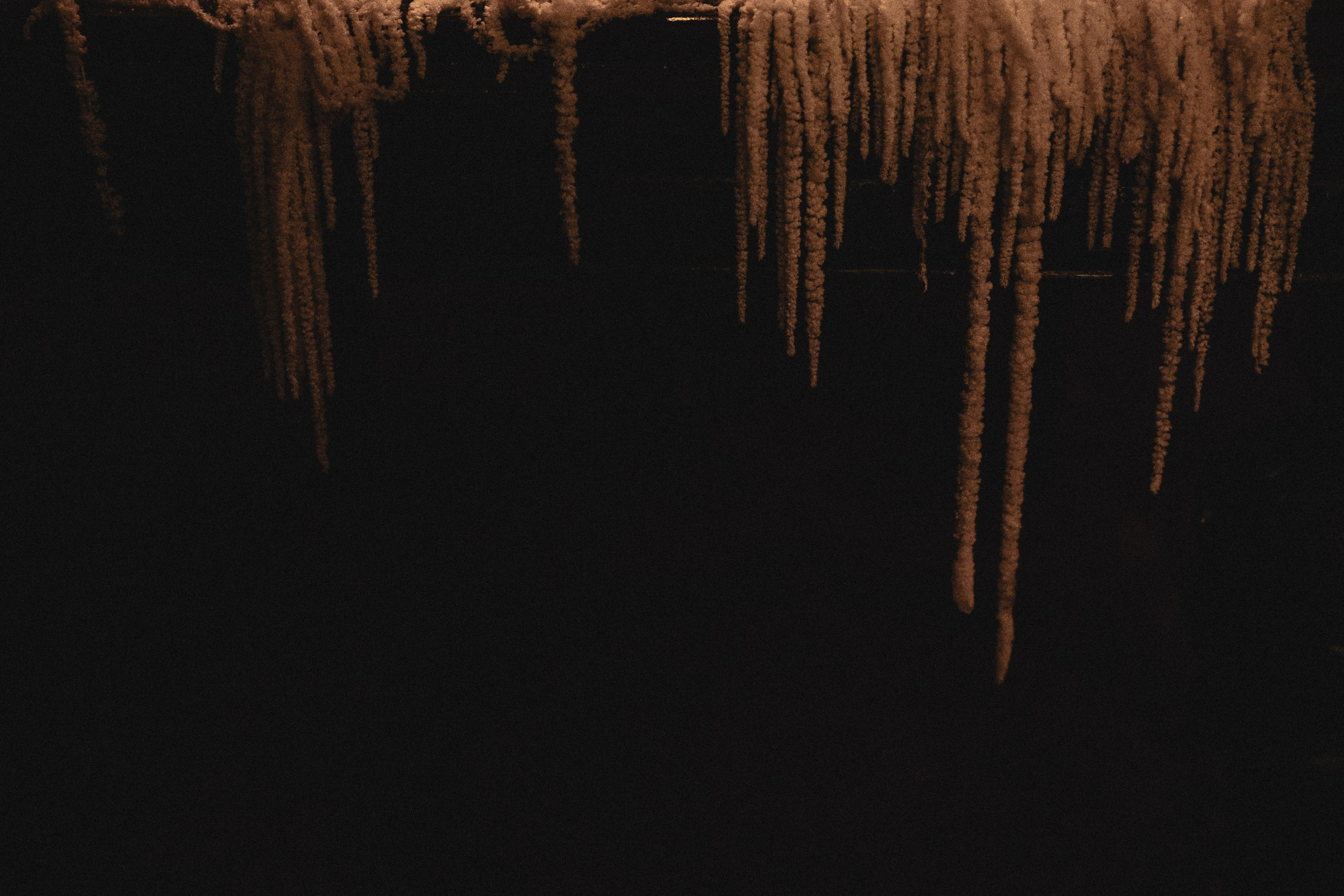 Свадебная фэшн съемка. Свадебный и семейный фотограф и видеограф, Крым, Москва, Санкт -Петербург