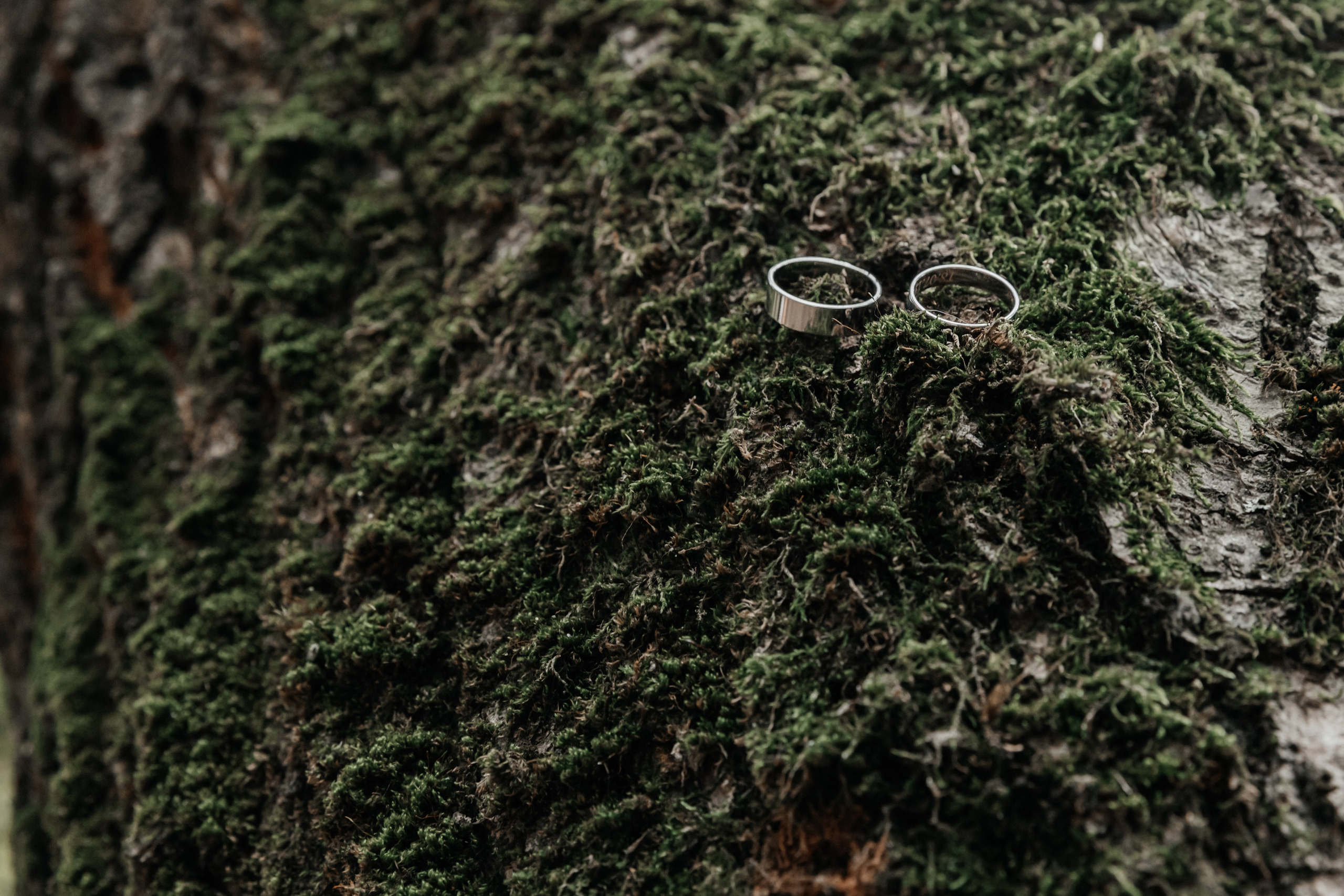 Никита и Кристина. Свадебный фотограф г. Кропоткин