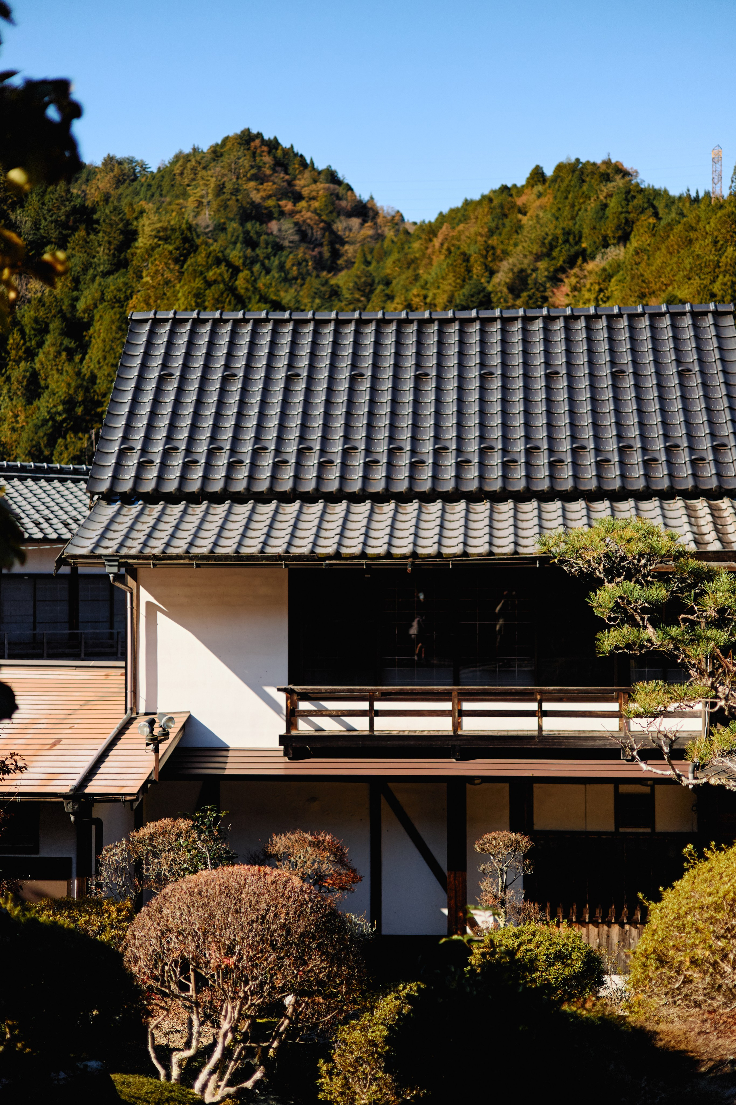 Япония. Профессиональный Фотограф во Владимире, в Москве и в Суздале — Полина Романычева