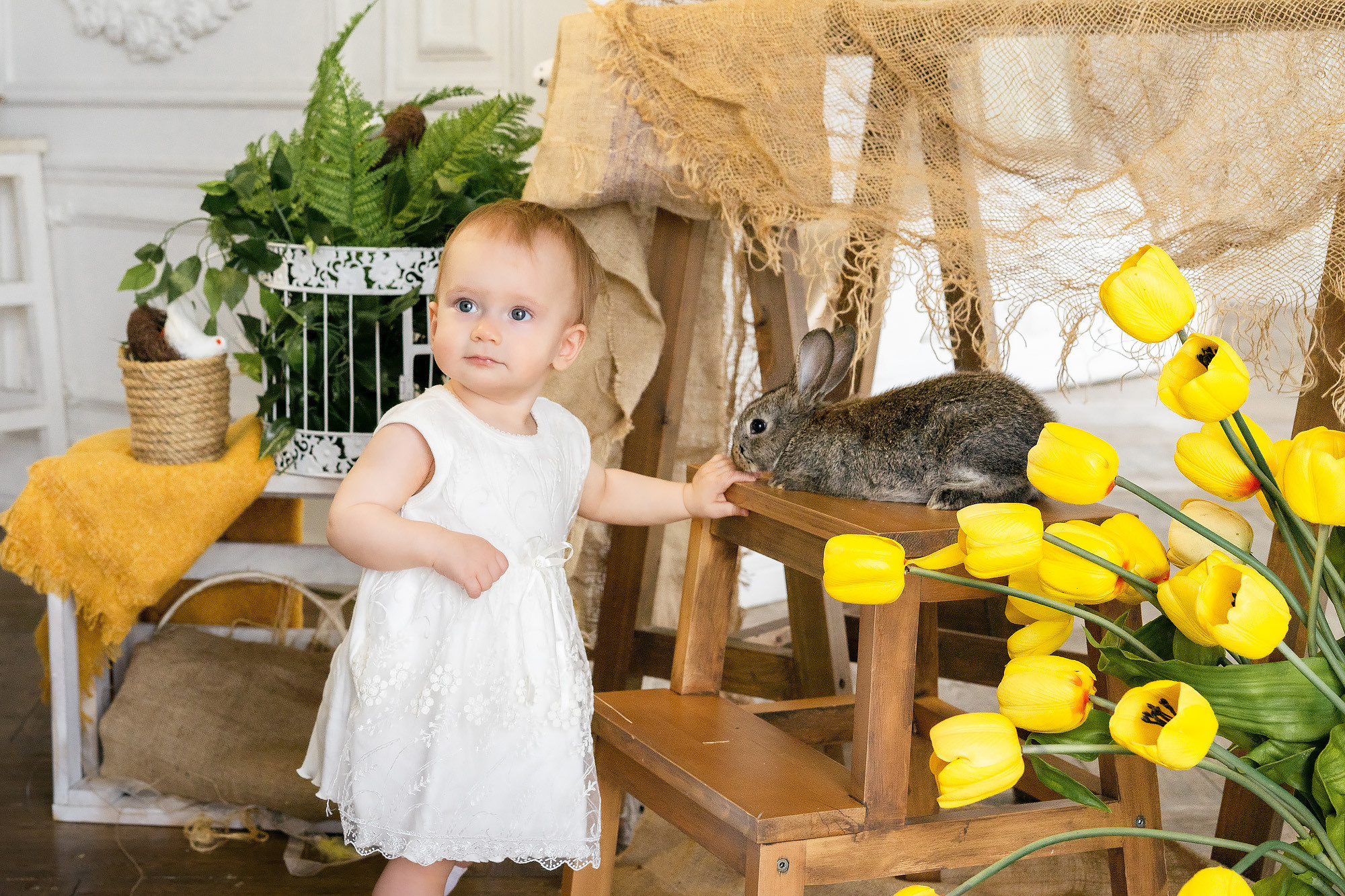 С малышами цыплятами. Семейный и детский фотограф во Владивостоке Мария Гой