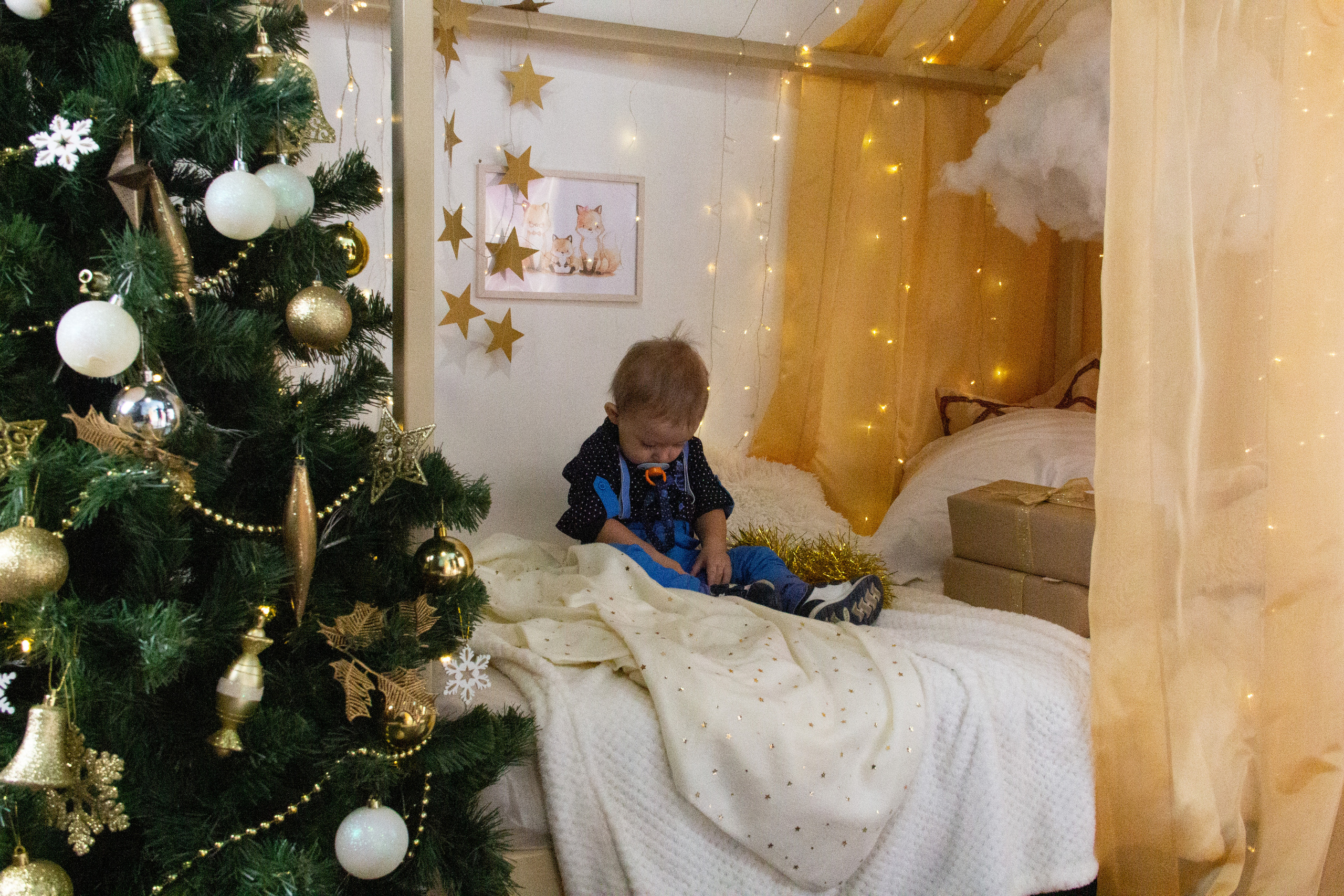 Рождественская сказка. Фотограф Алёна Толмачева. Воронеж