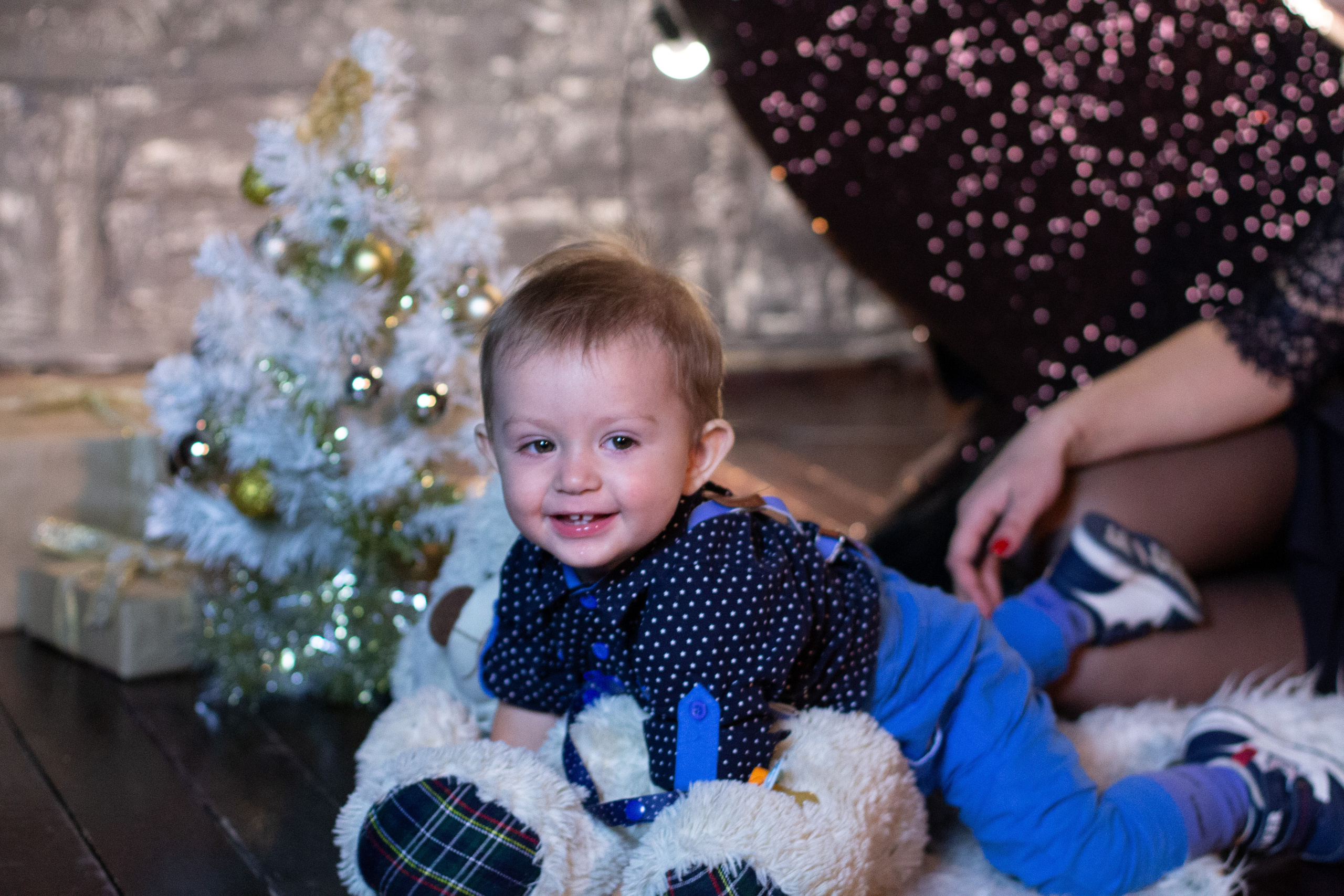 Рождественская сказка. Фотограф Алёна Толмачева. Воронеж