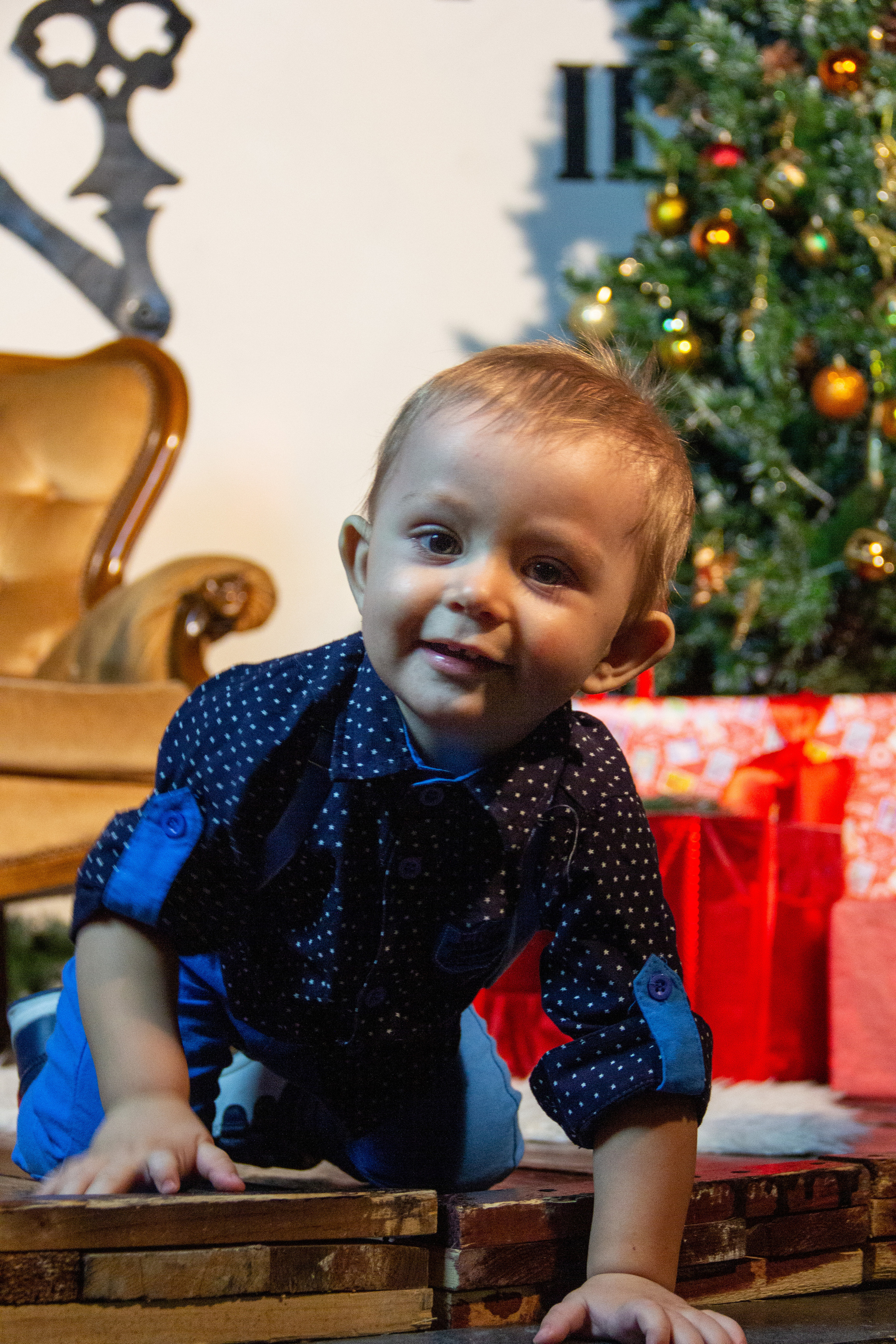 Рождественская сказка. Фотограф Алёна Толмачева. Воронеж