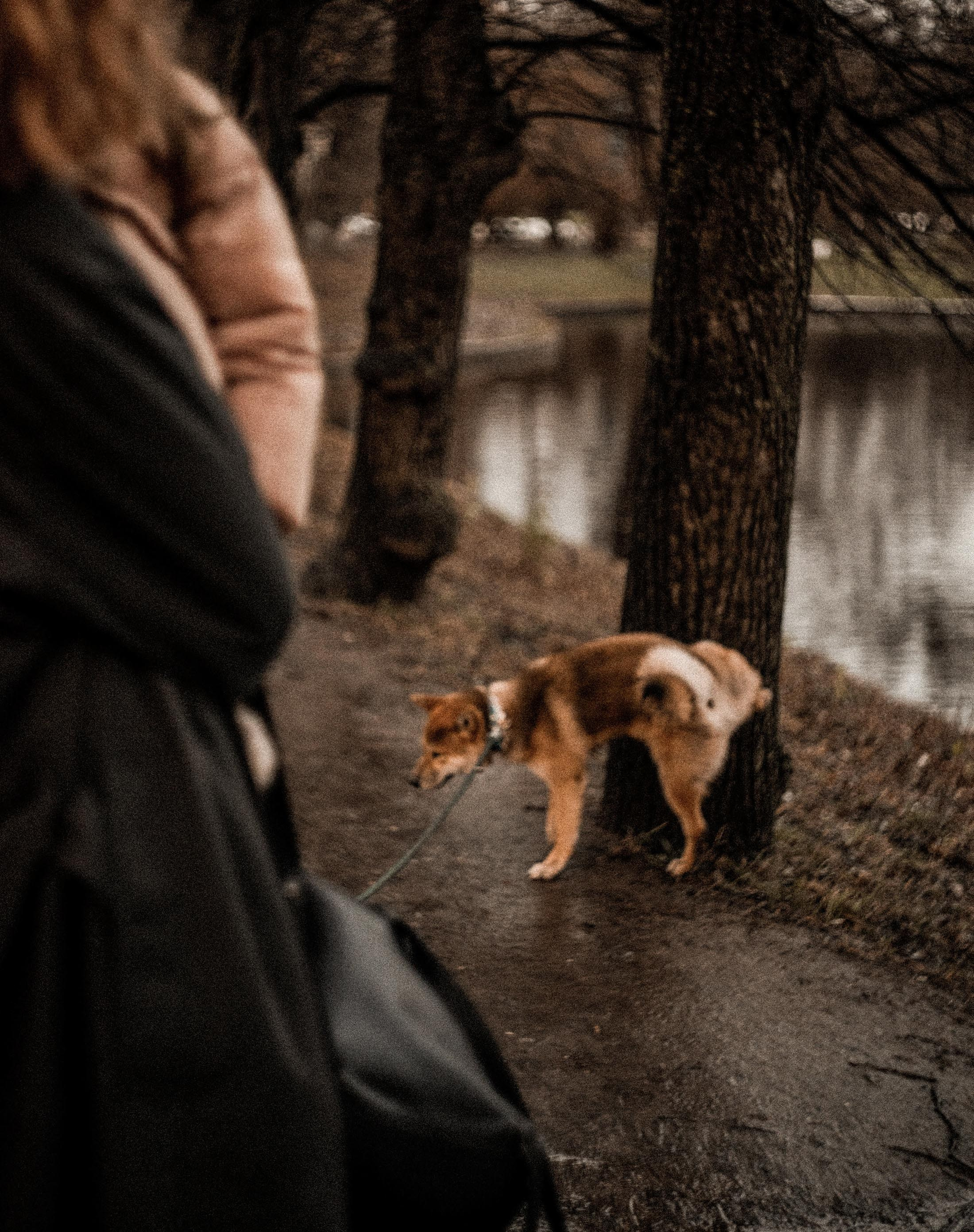 Tears and laughter. AleSeeva