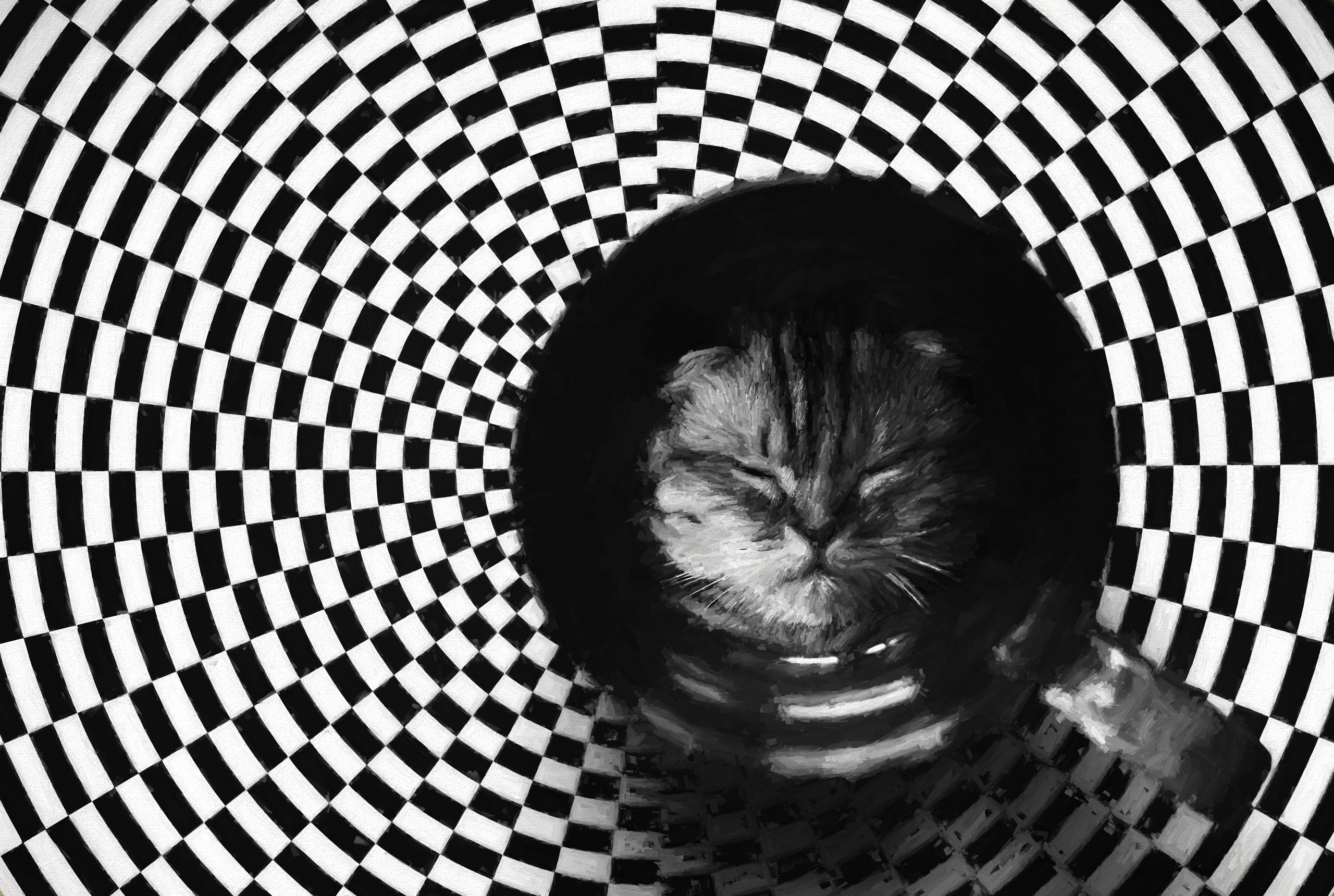 Фотограф (photographer) Lischinski Vitaliy