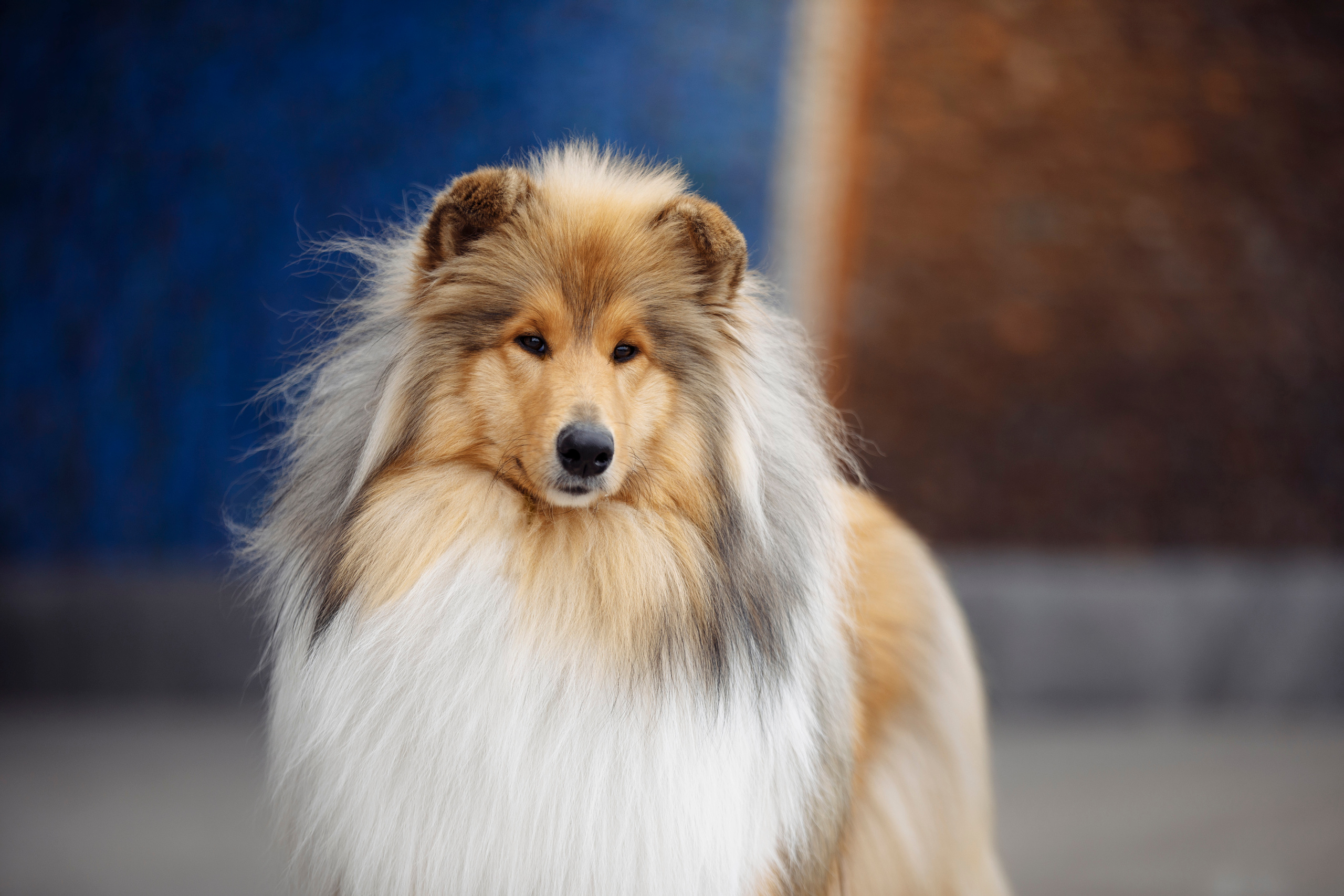 Фотограф-анималист Саша Вязьмина