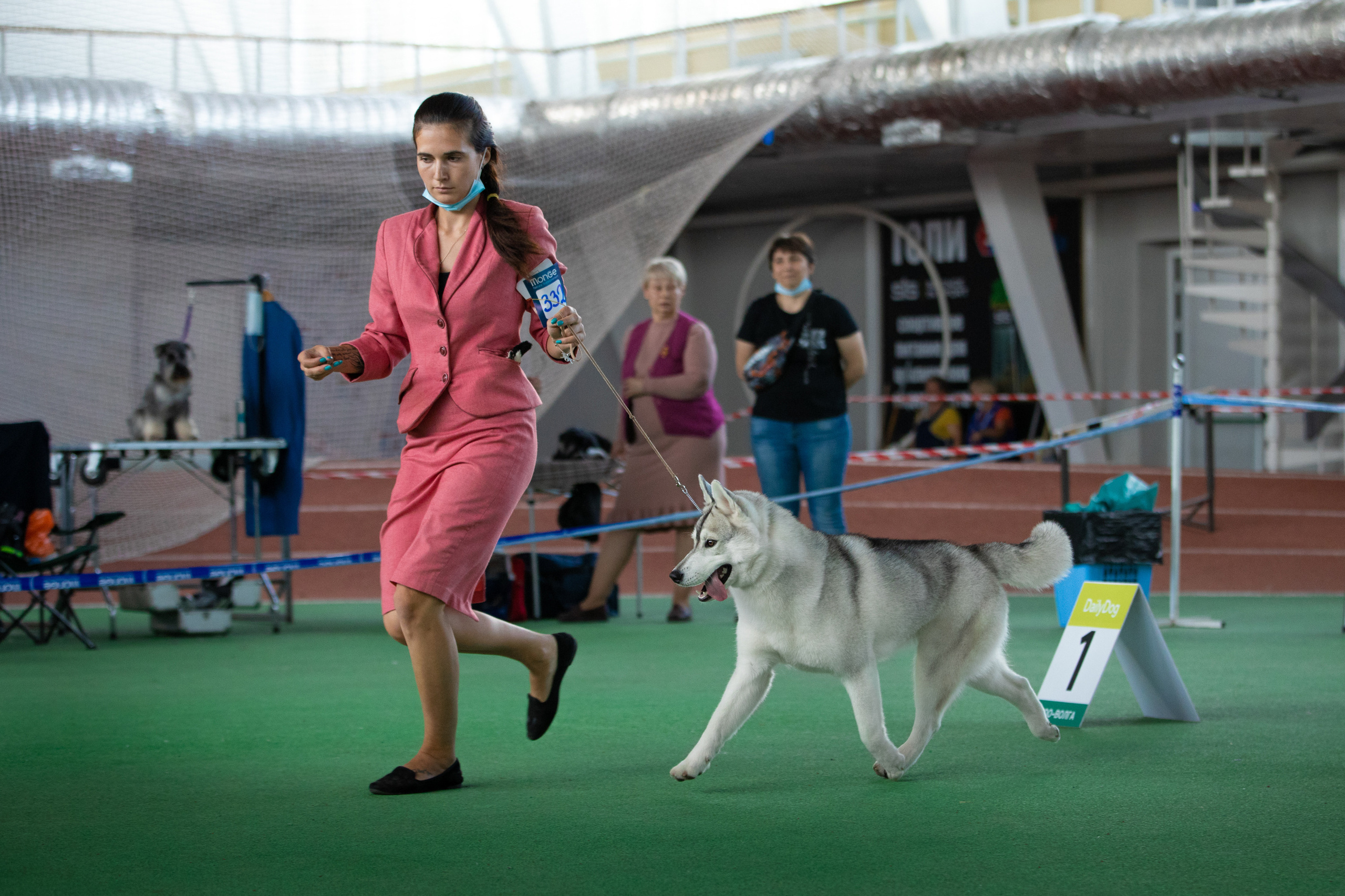 сибирский хаски выставка собак самара сасиб cacib фотограф вязьмина