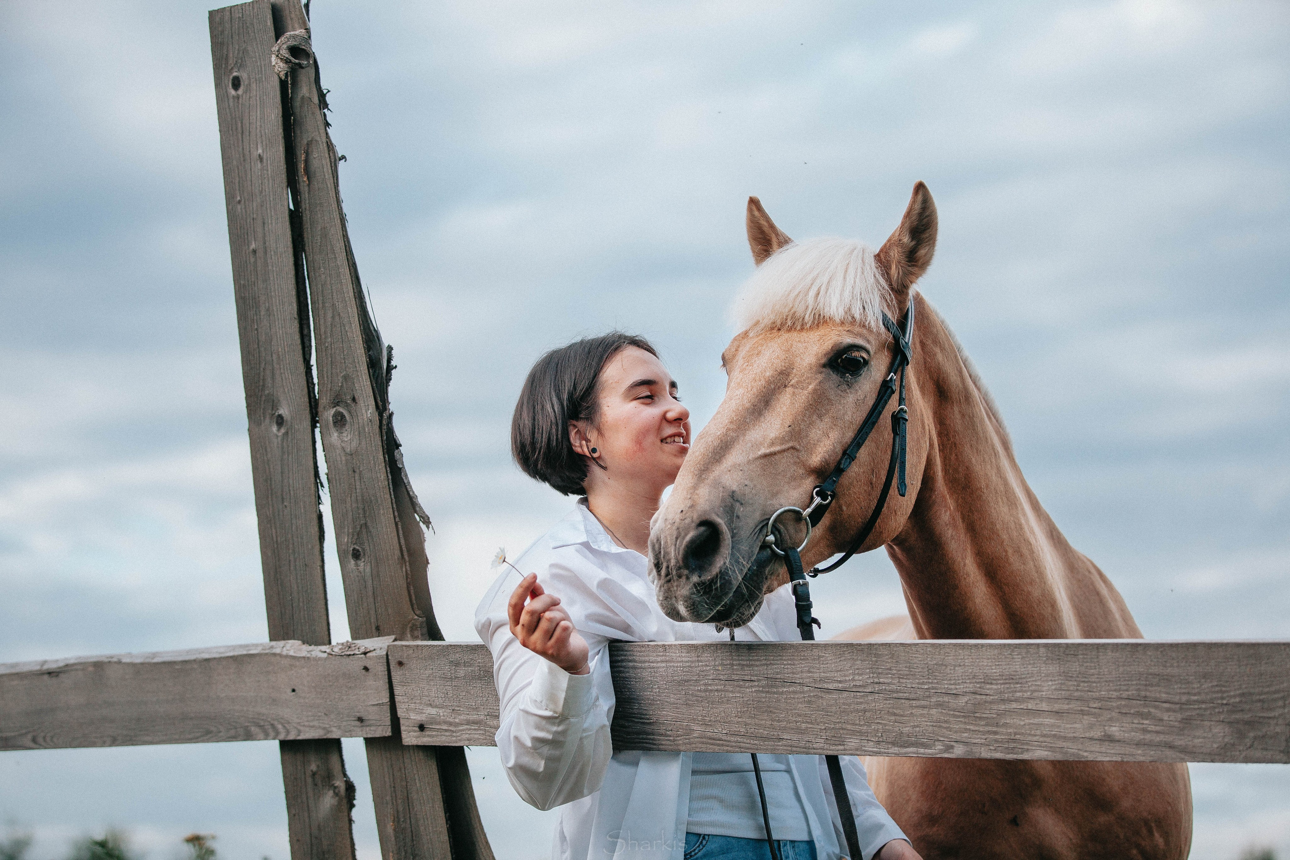 Алина и Гешефт. Главная