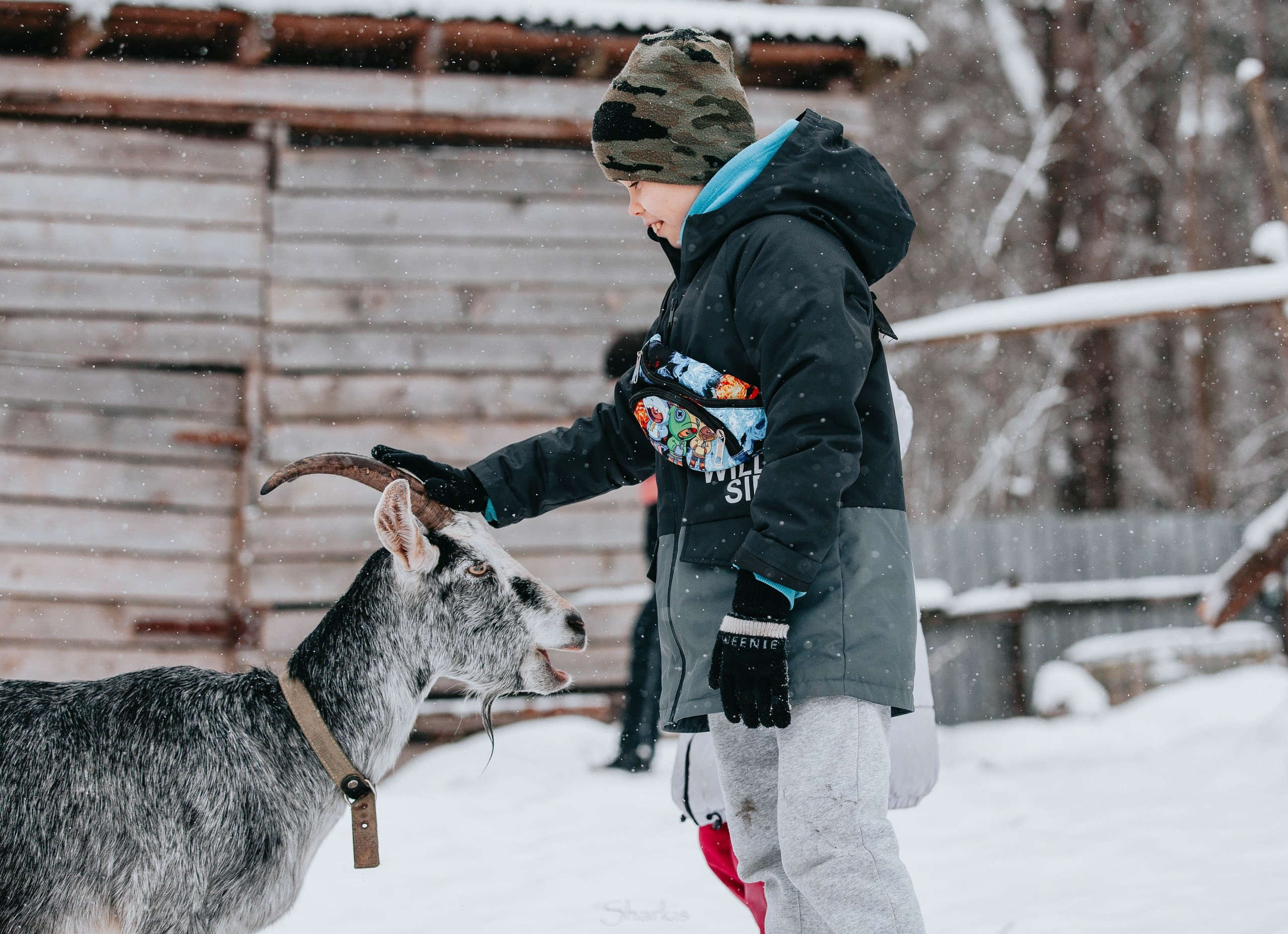 Семья. Фотограф Елизавета Филатова