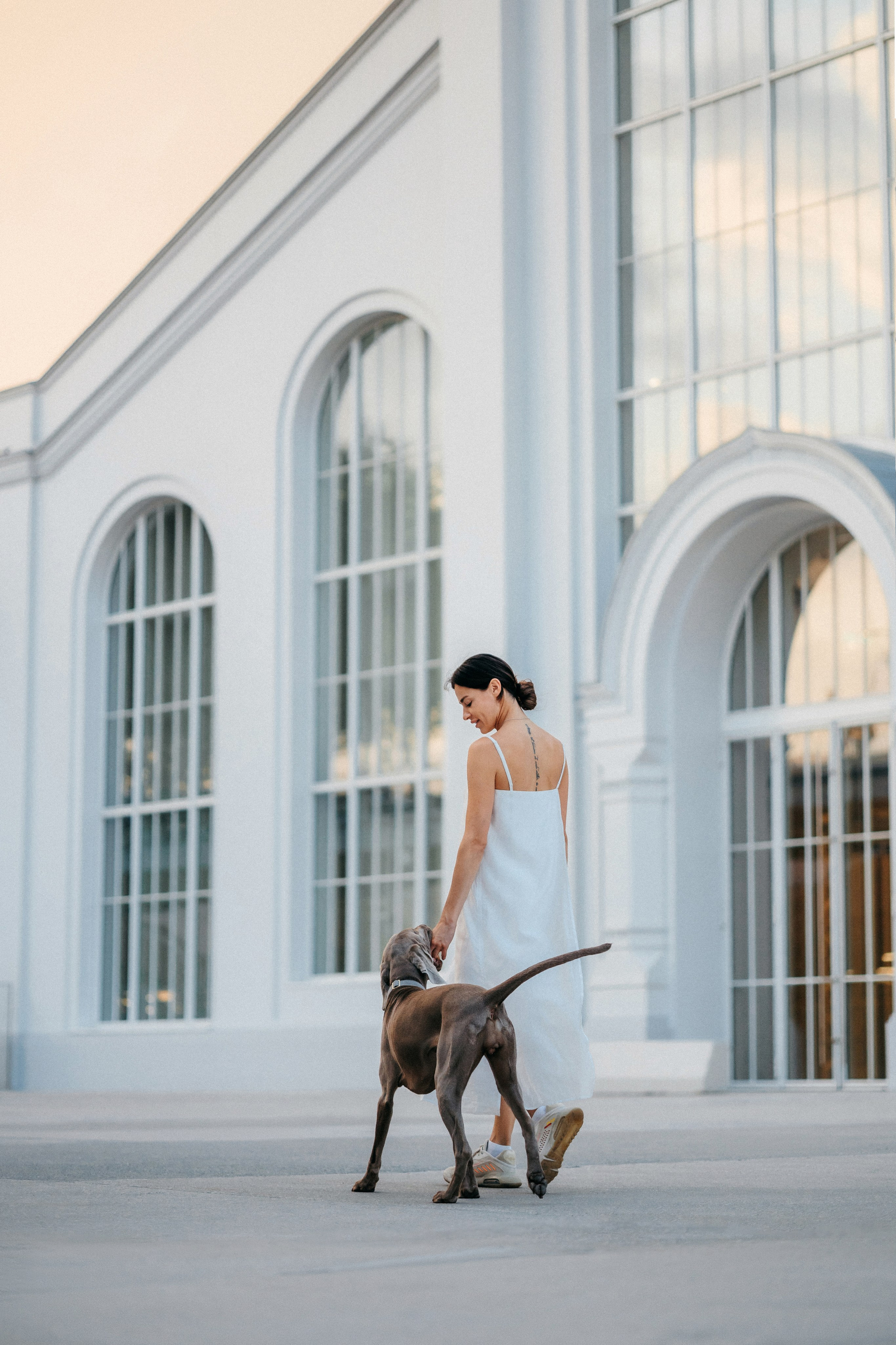 Соня и Майли. Фотограф-анималист Елена Радченко, Москва